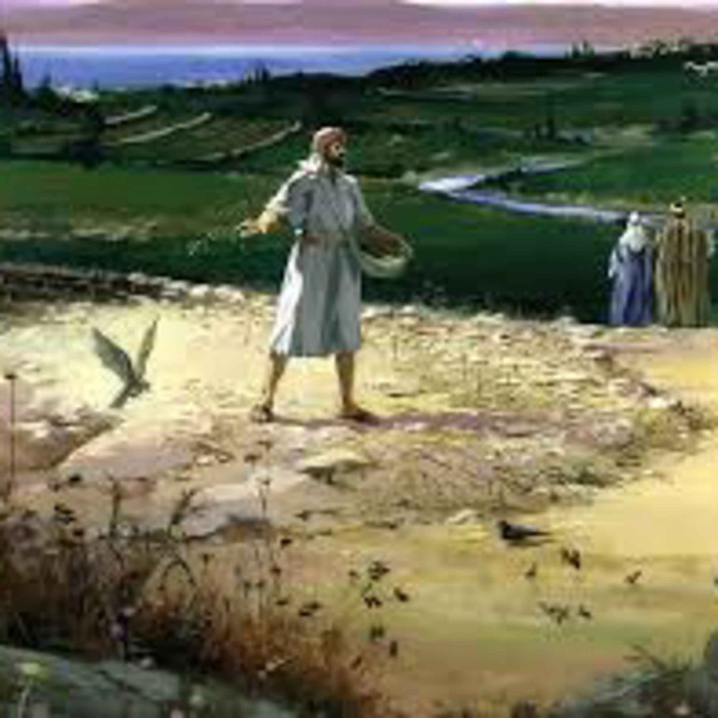 Evangelio del Miércoles 24 de Julio. Mateo 13,1-9