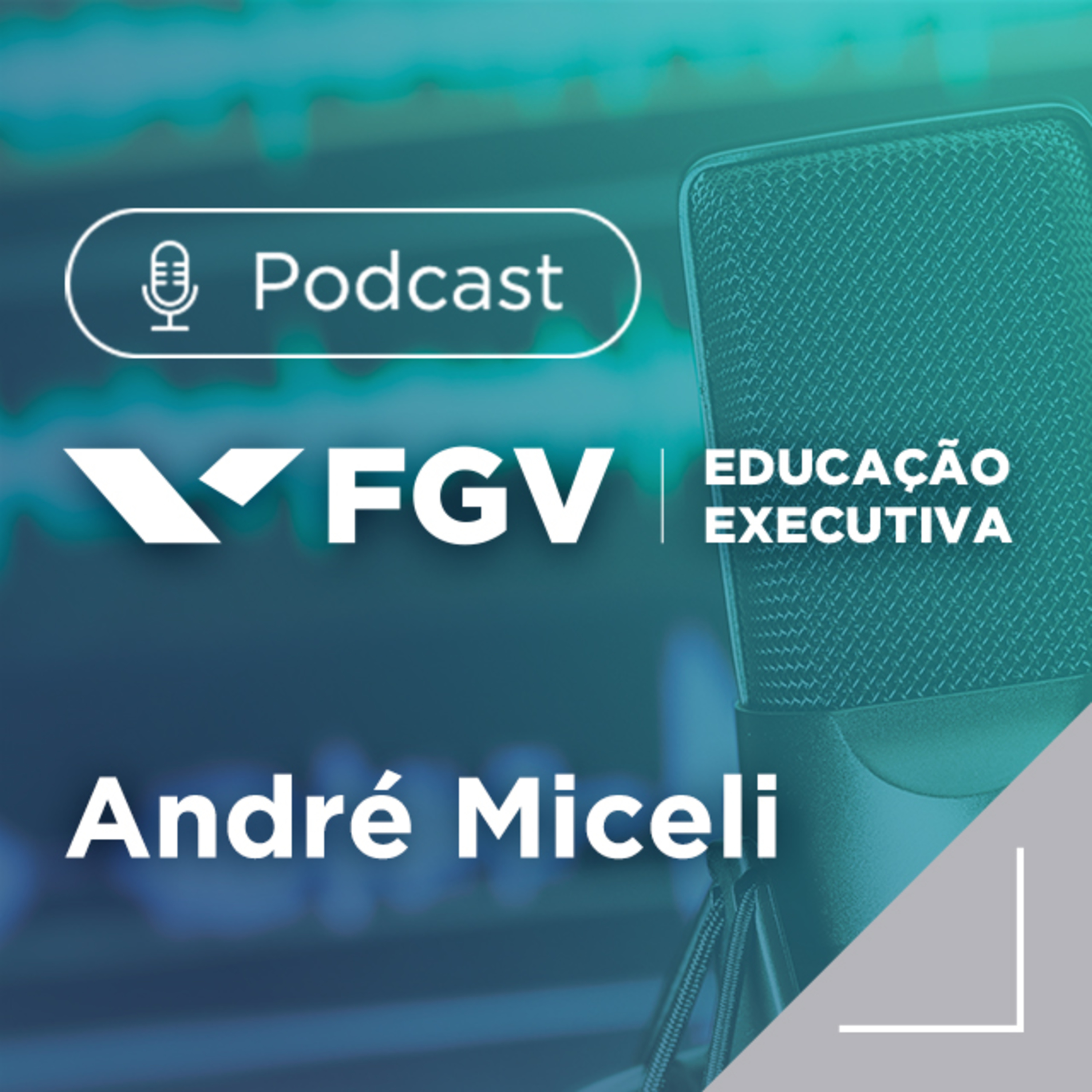 FGV Educação Executiva