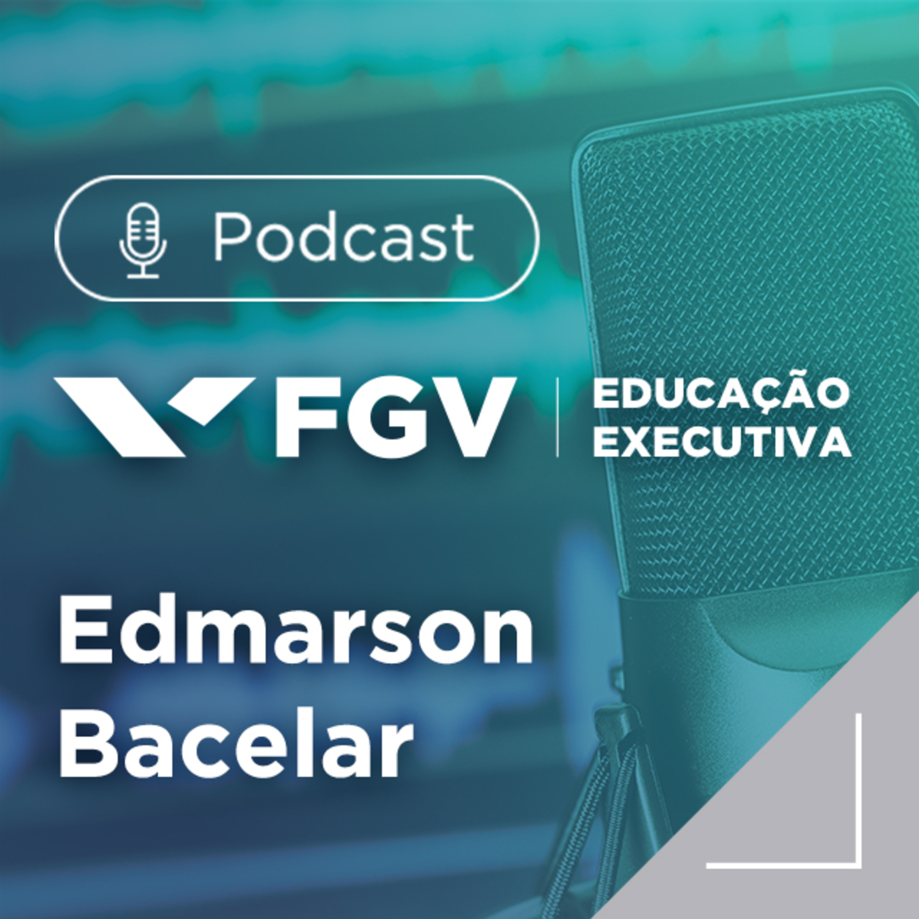 FGV Educação Executiva
