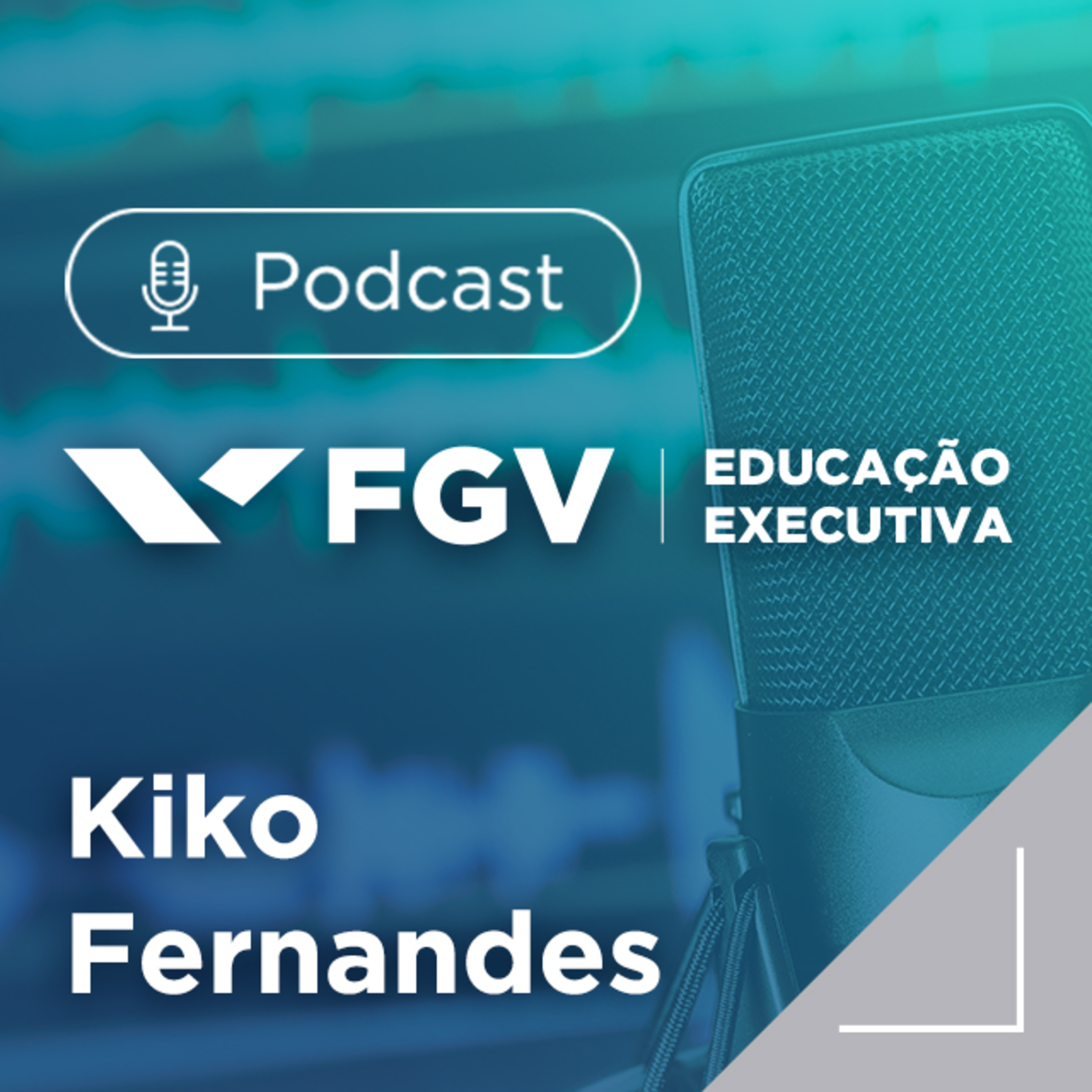 FGV Educação Executiva