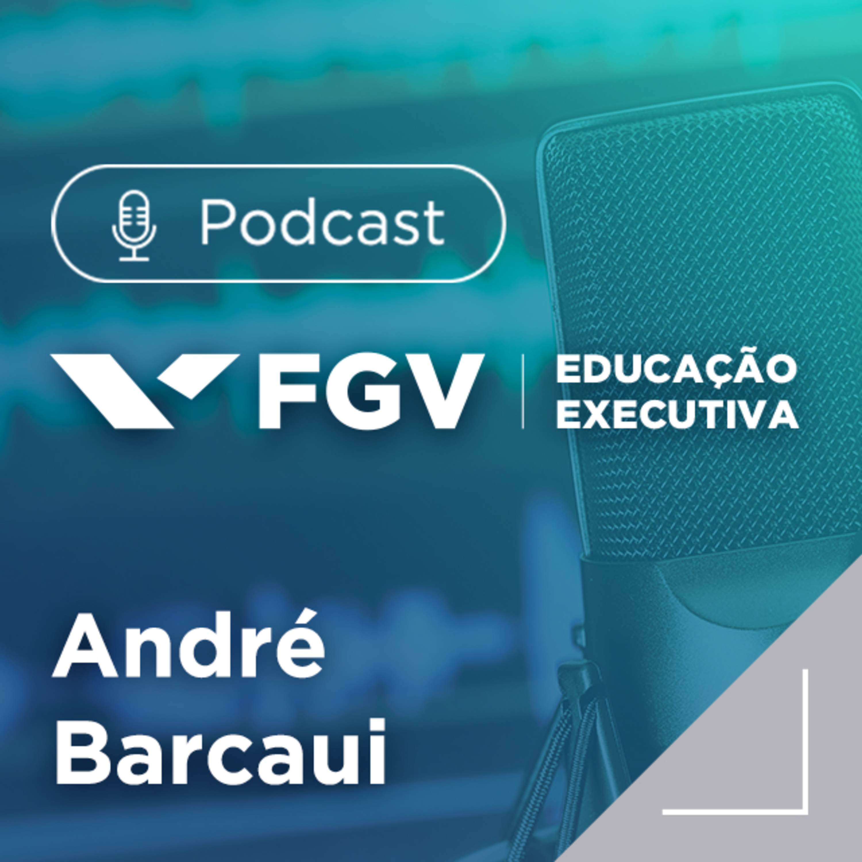 FGV Educação Executiva