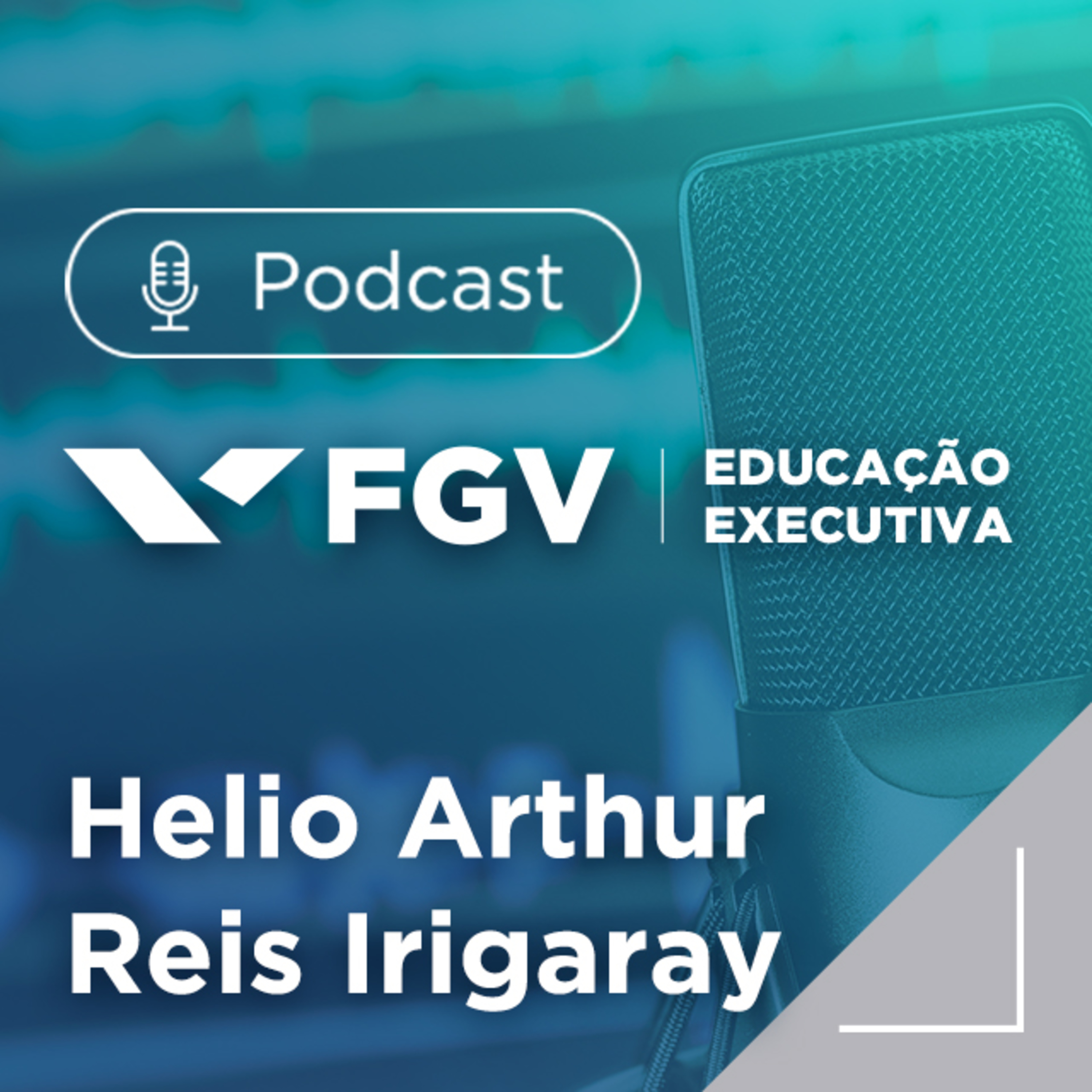 FGV Educação Executiva