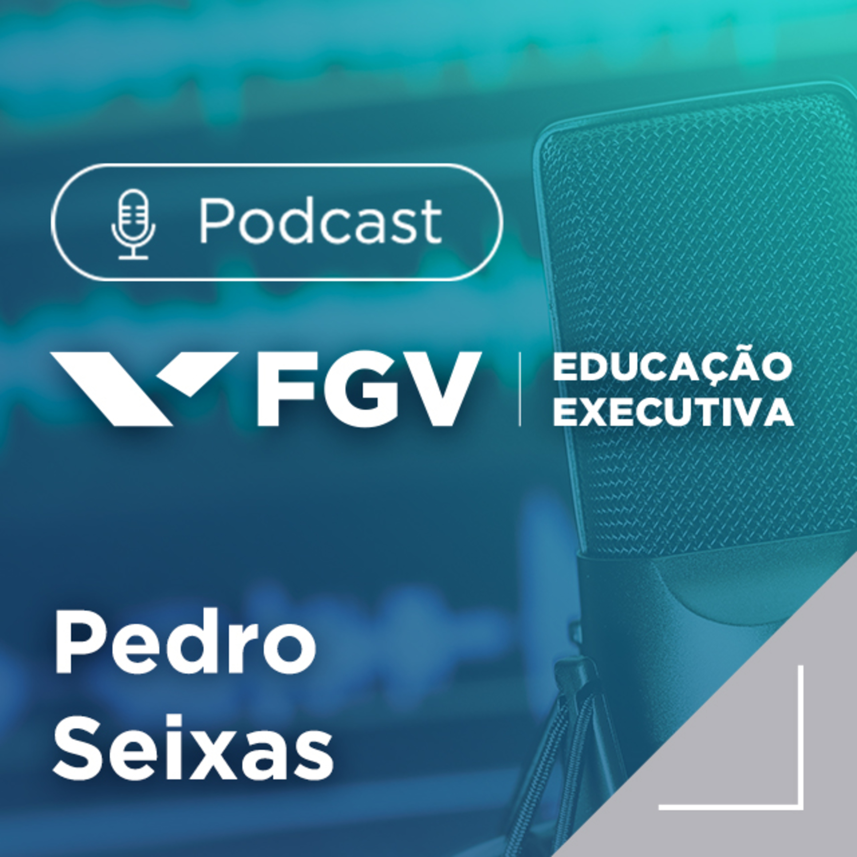 FGV Educação Executiva