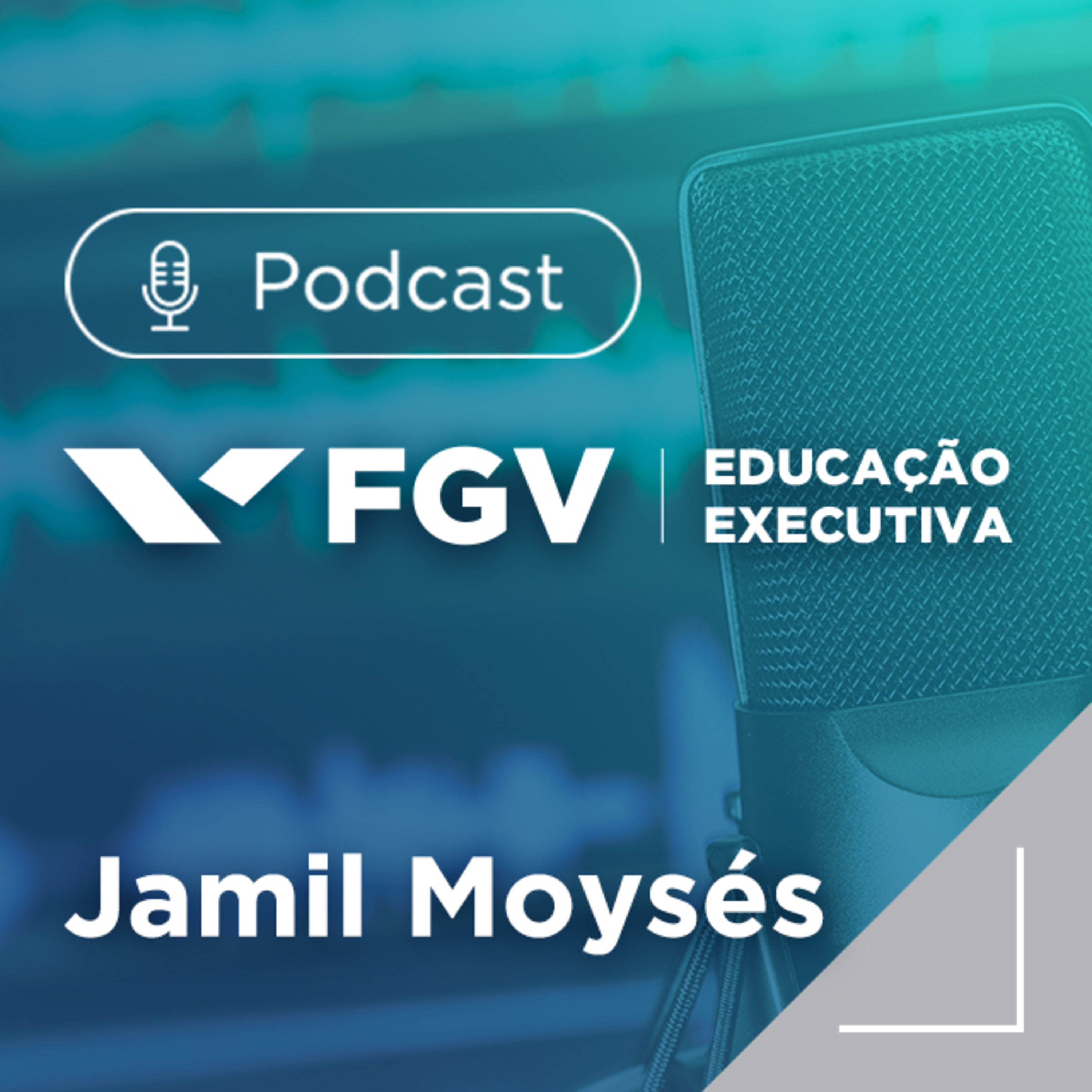 FGV Educação Executiva