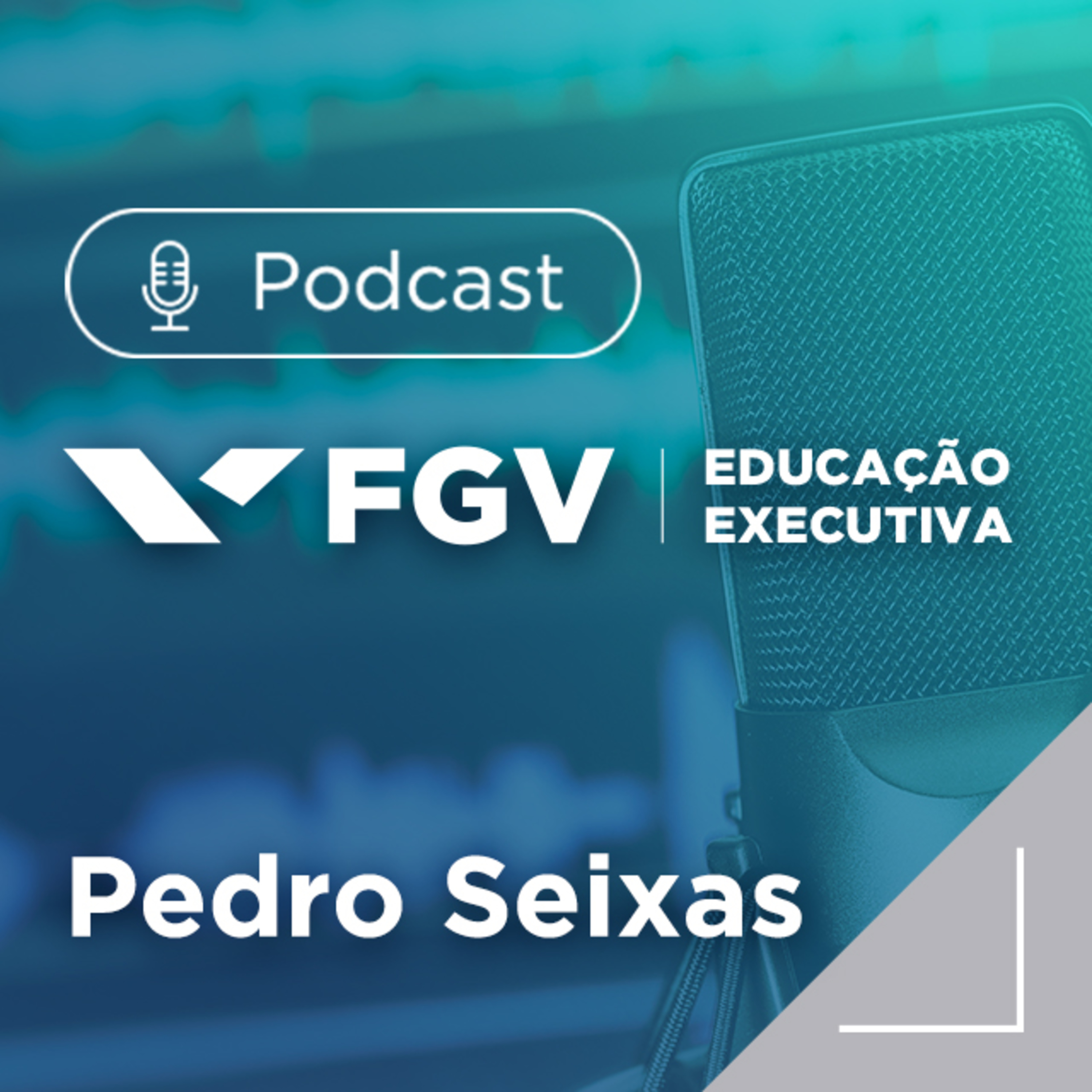 FGV Educação Executiva