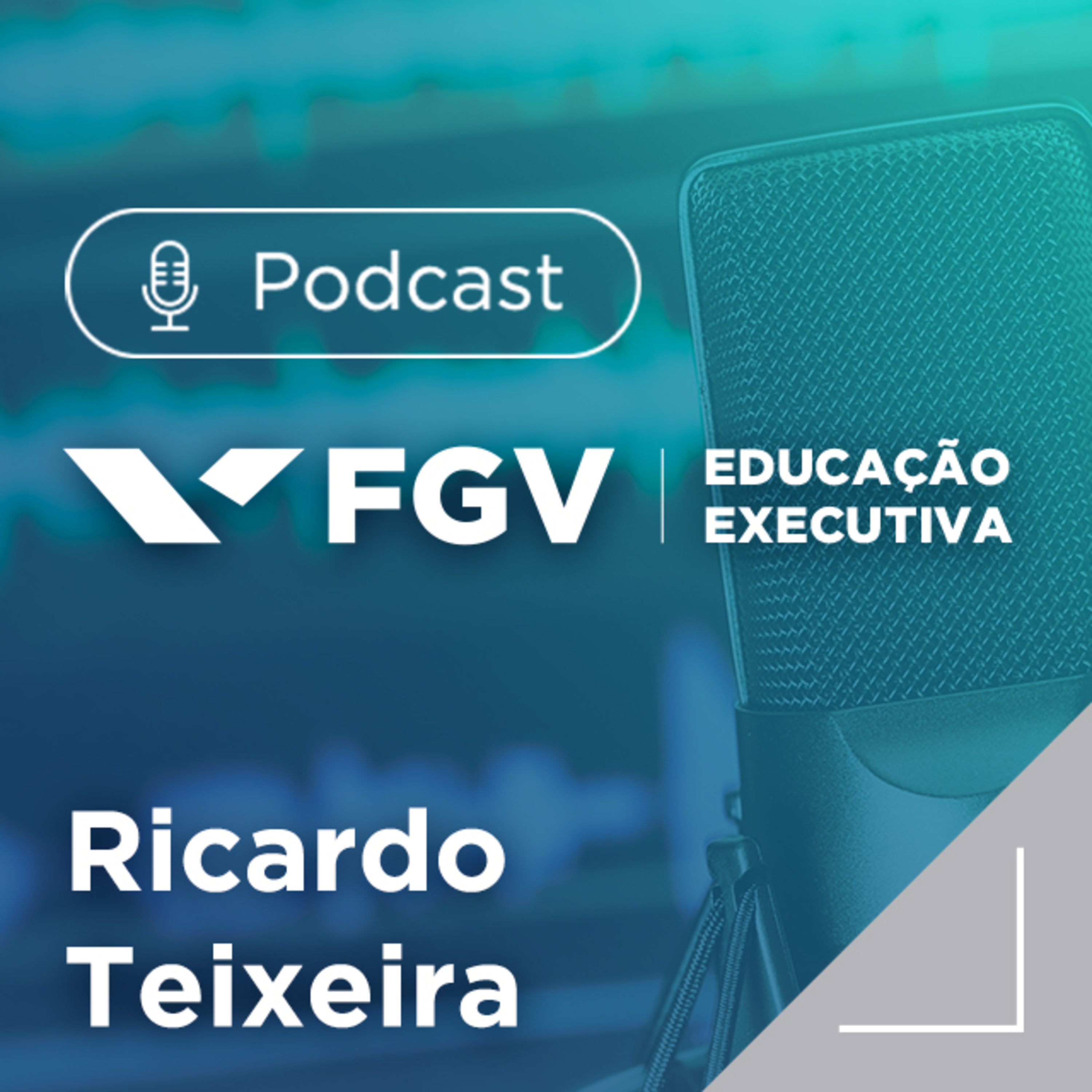FGV Educação Executiva