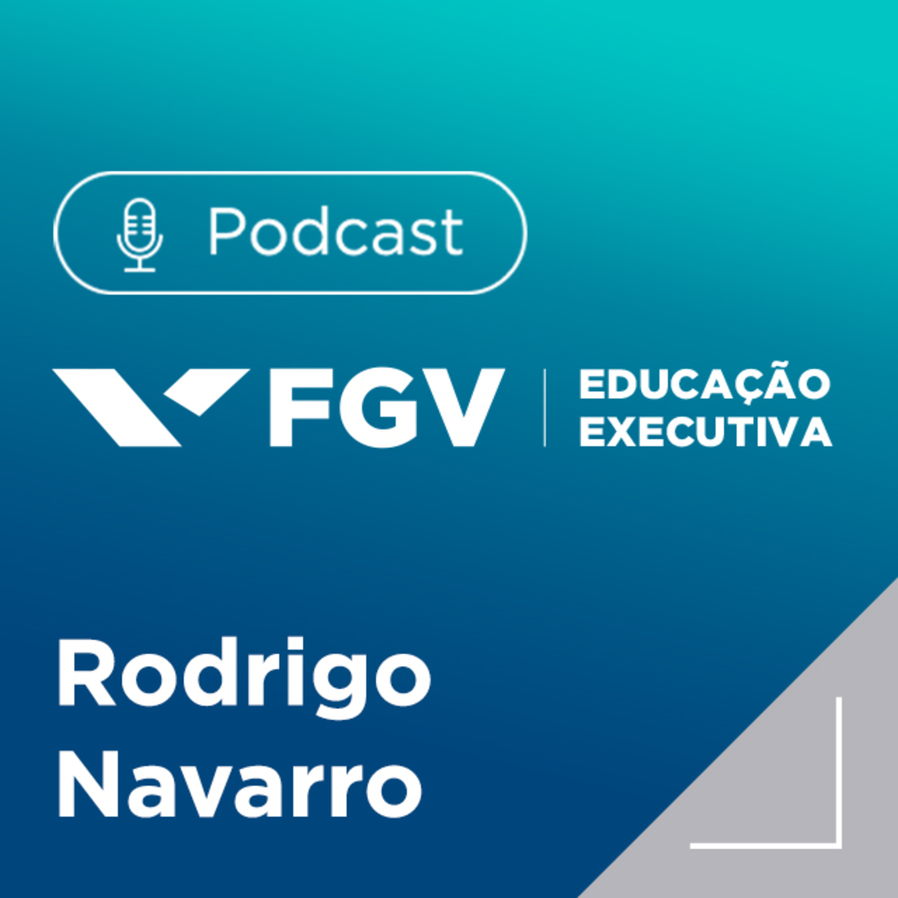 FGV Educação Executiva