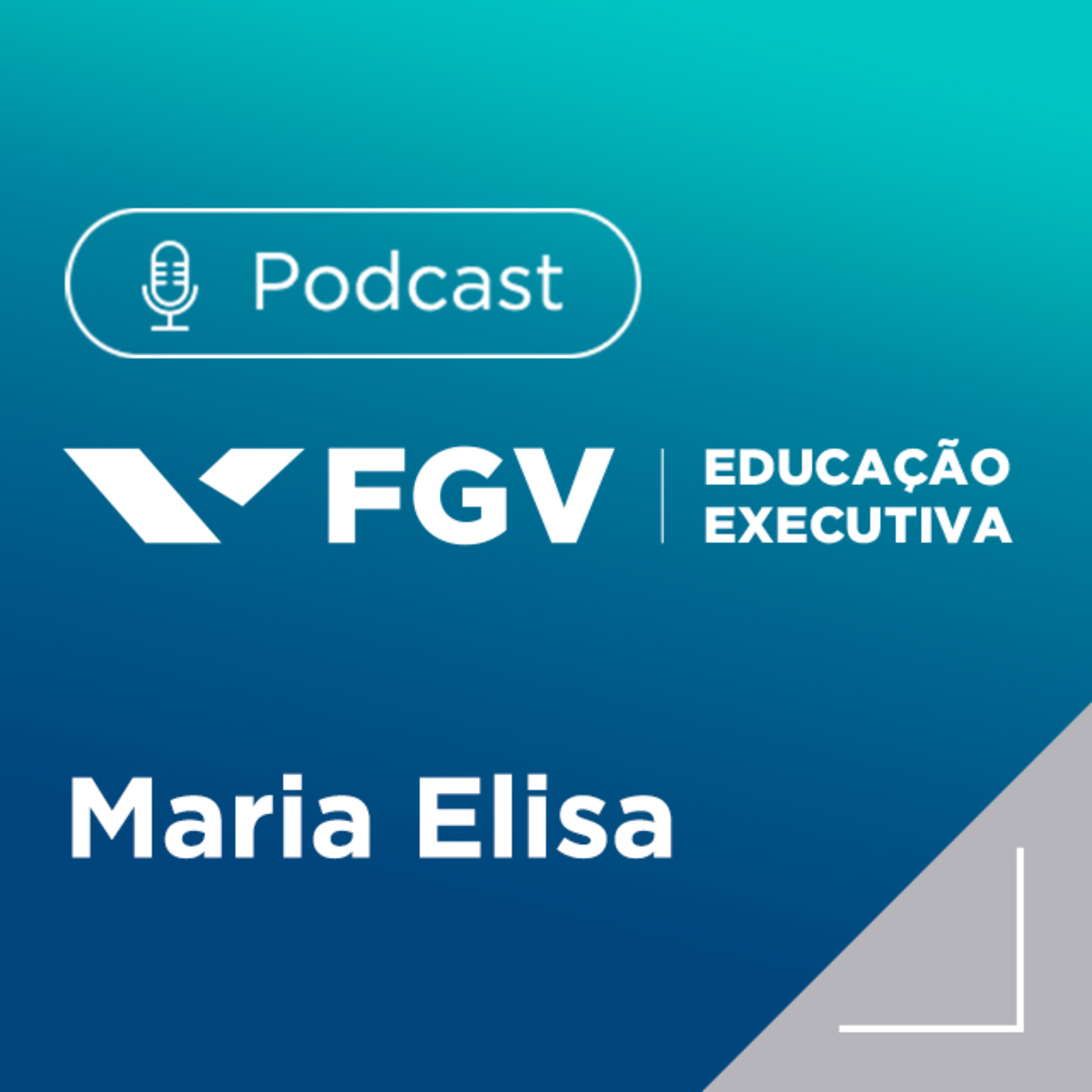 FGV Educação Executiva