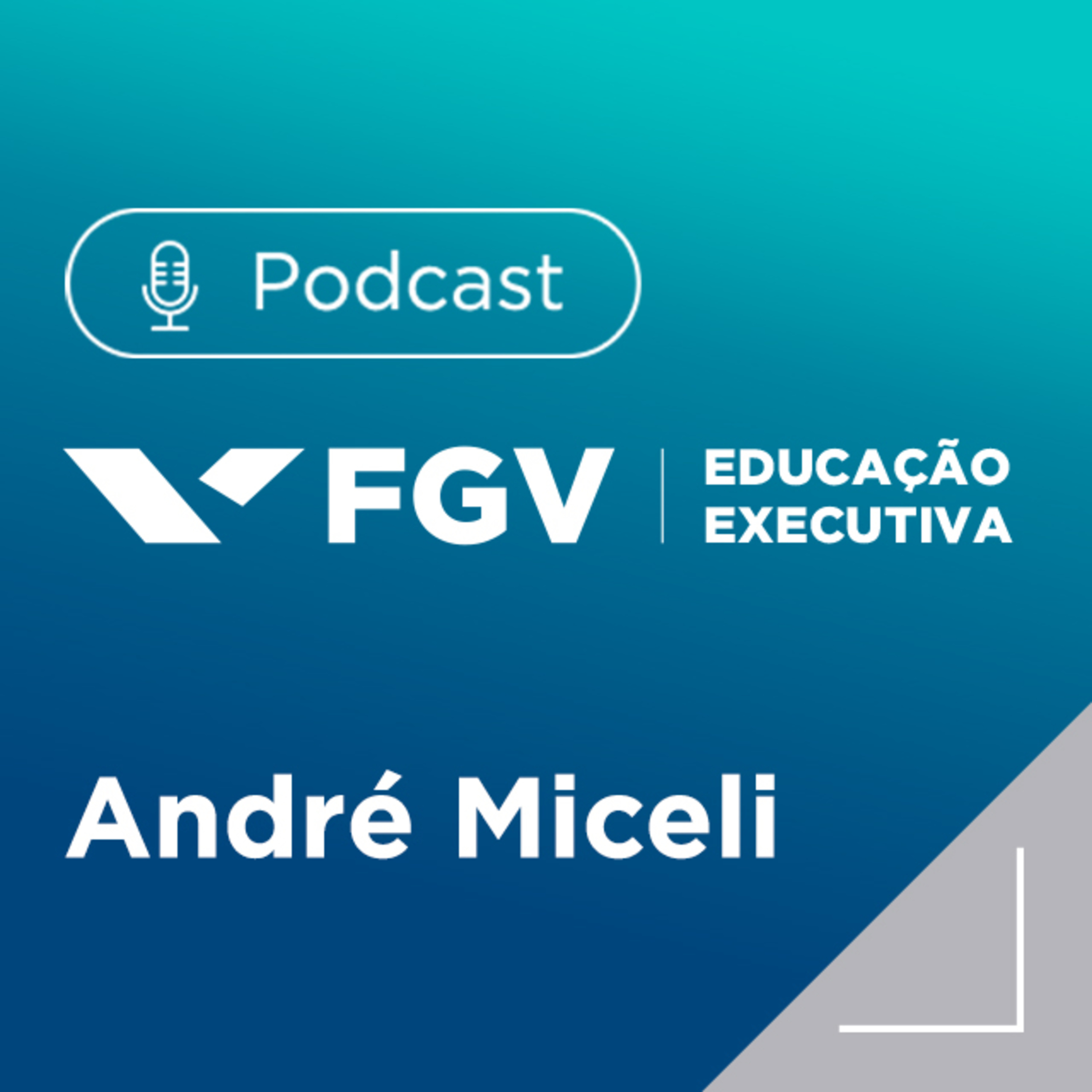FGV Educação Executiva