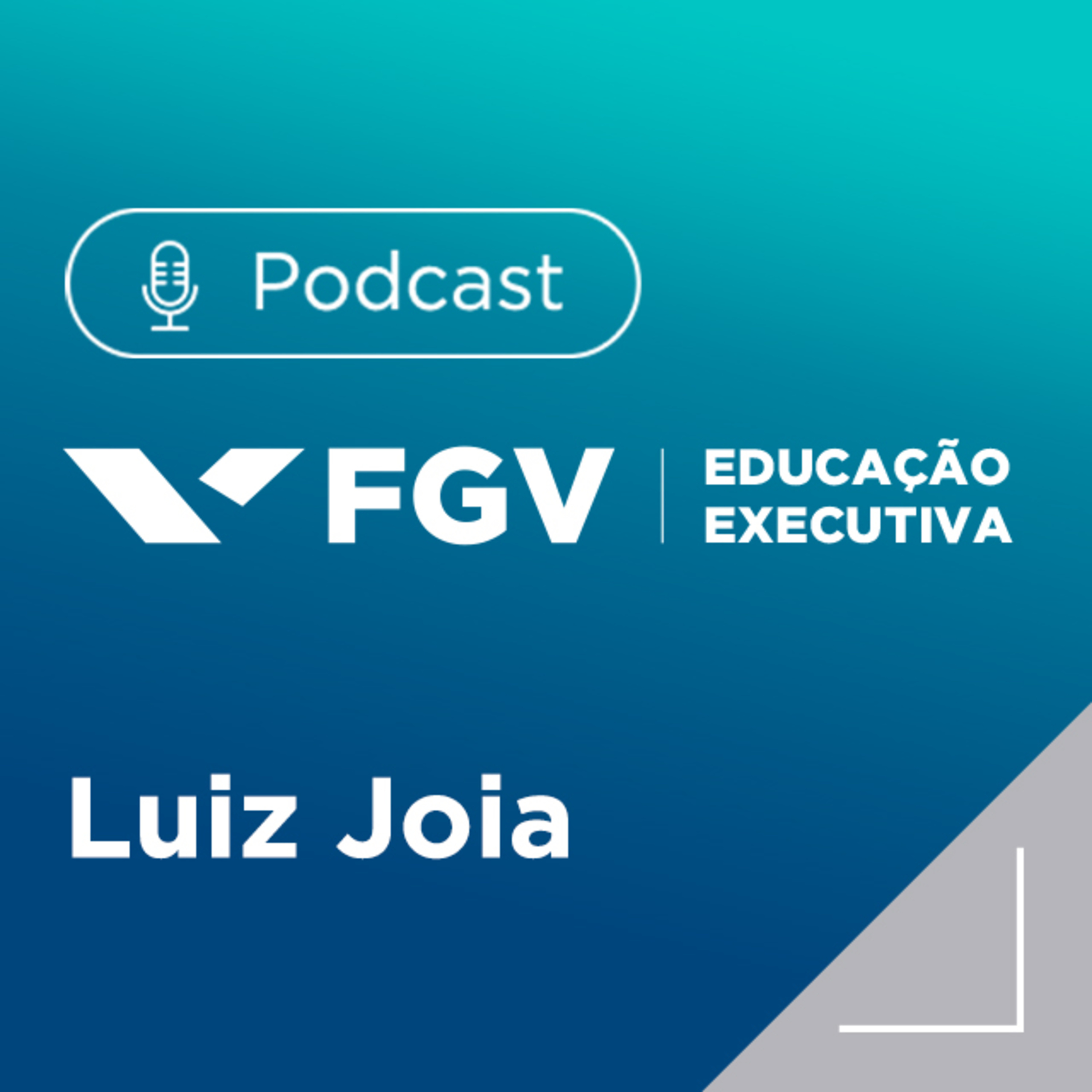 FGV Educação Executiva