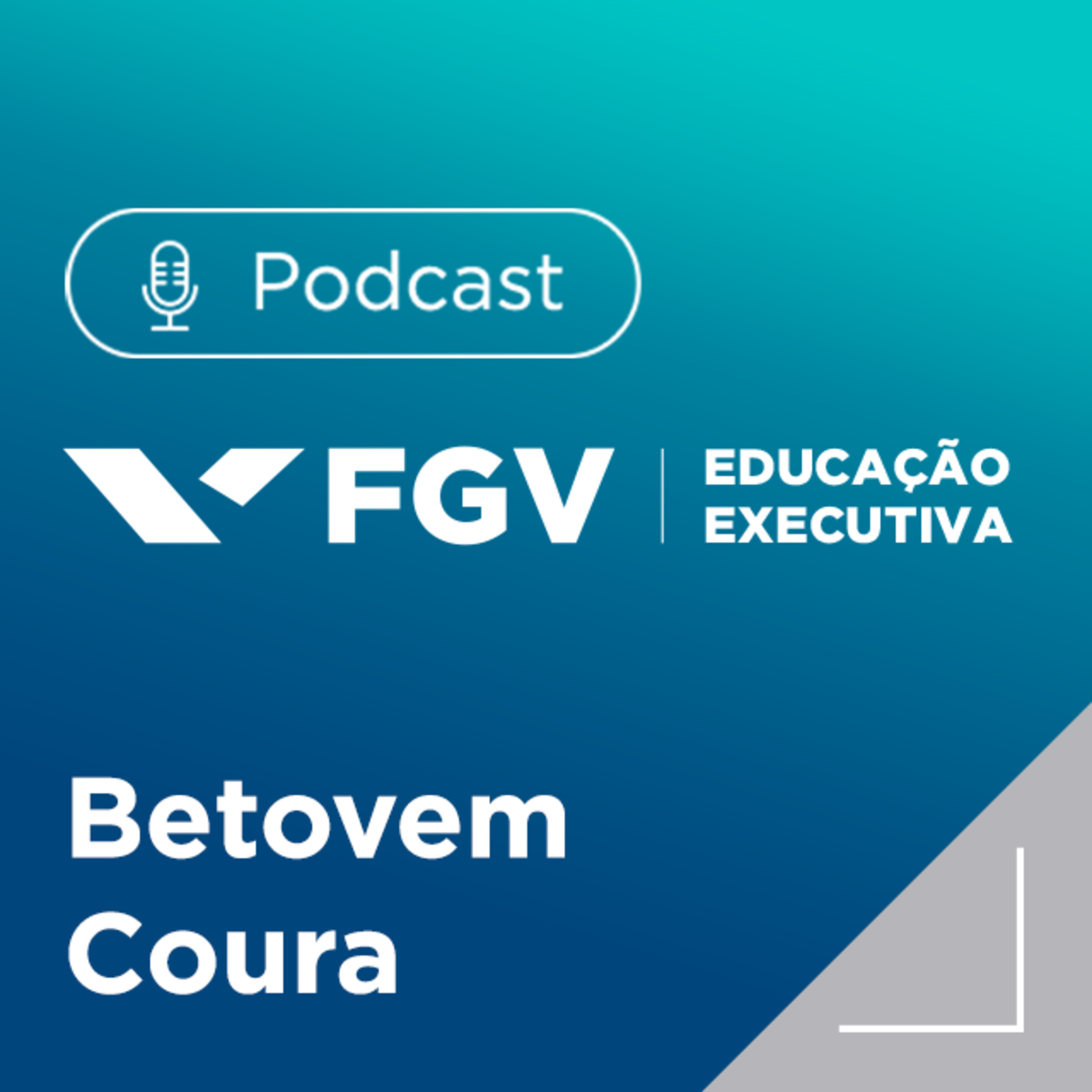 FGV Educação Executiva