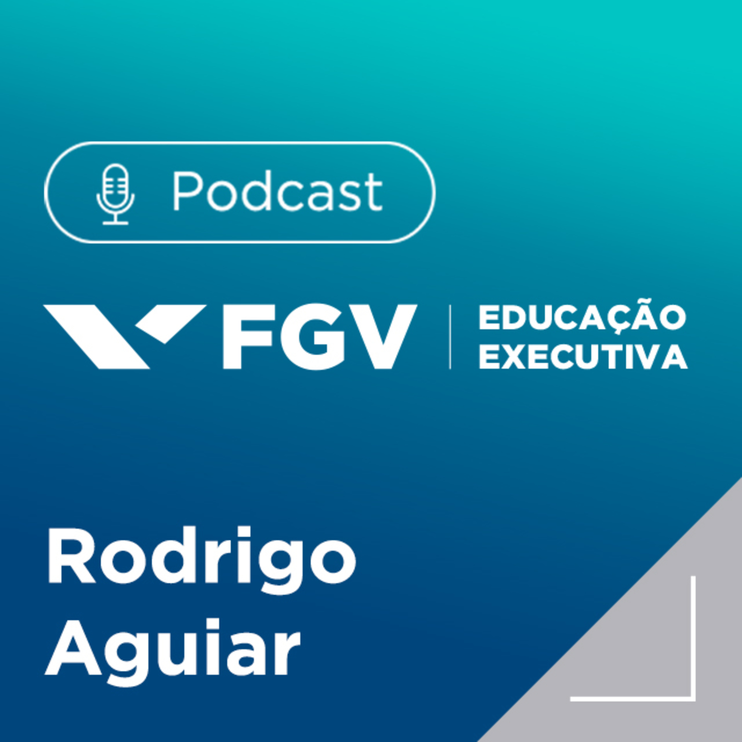 FGV Educação Executiva