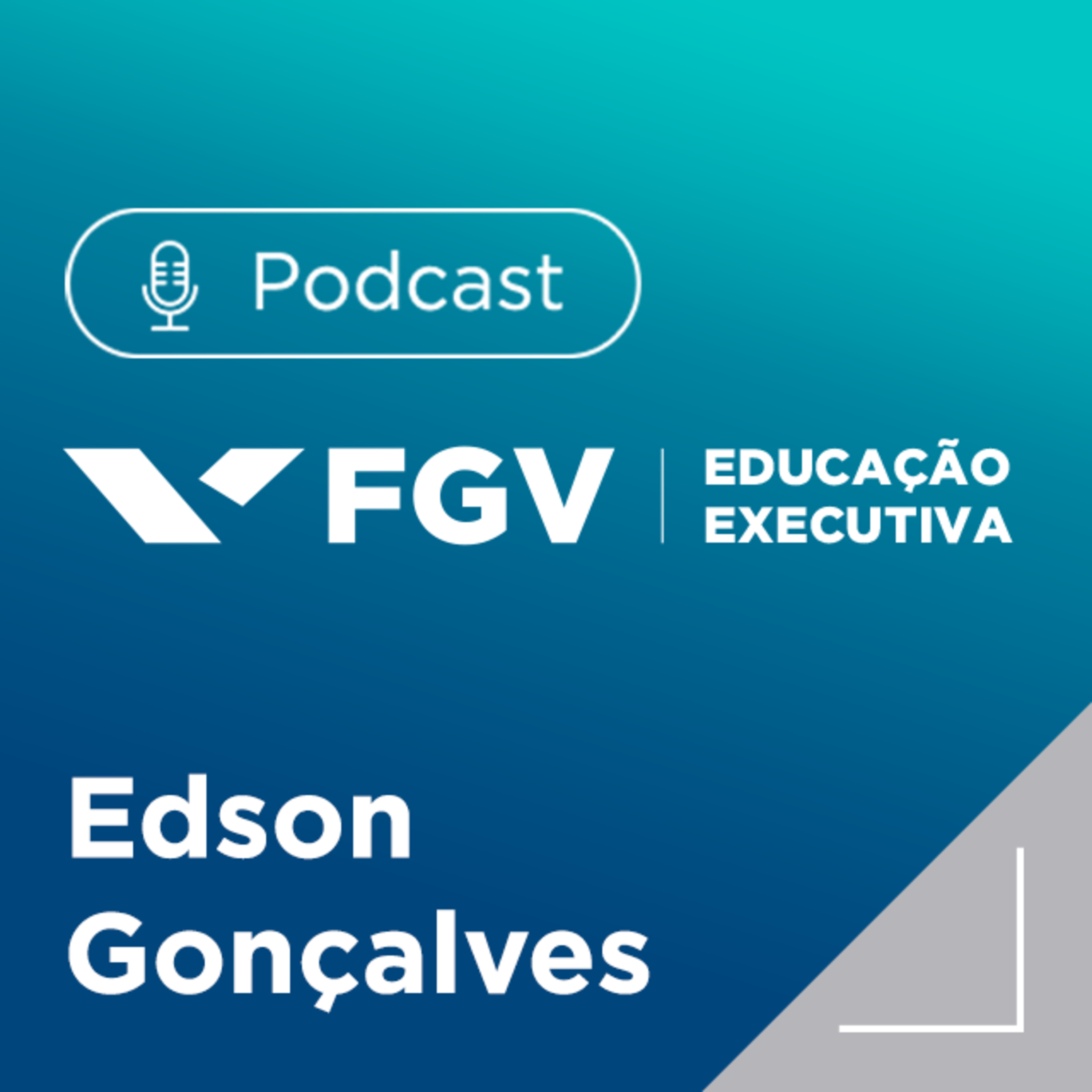 FGV Educação Executiva