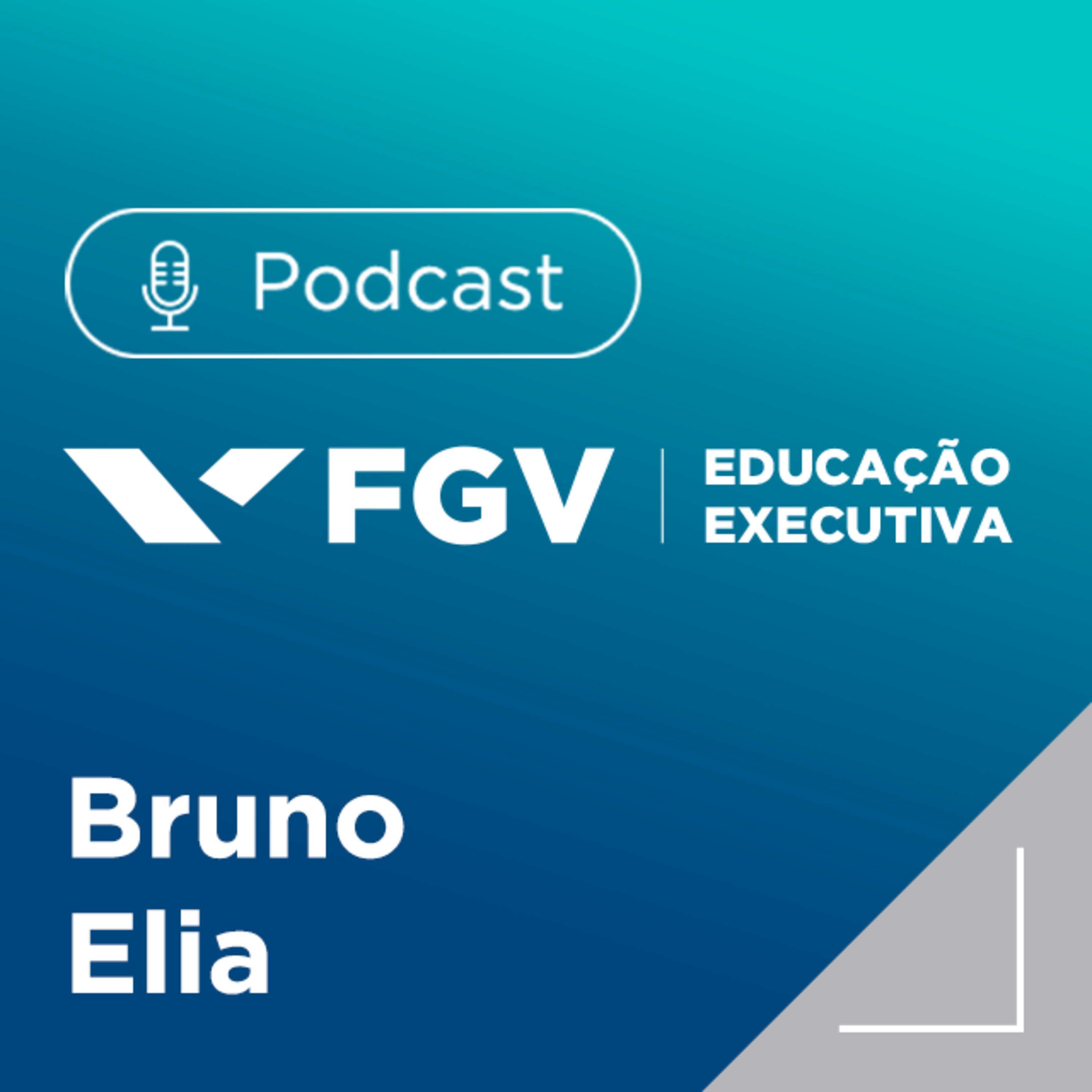 FGV Educação Executiva
