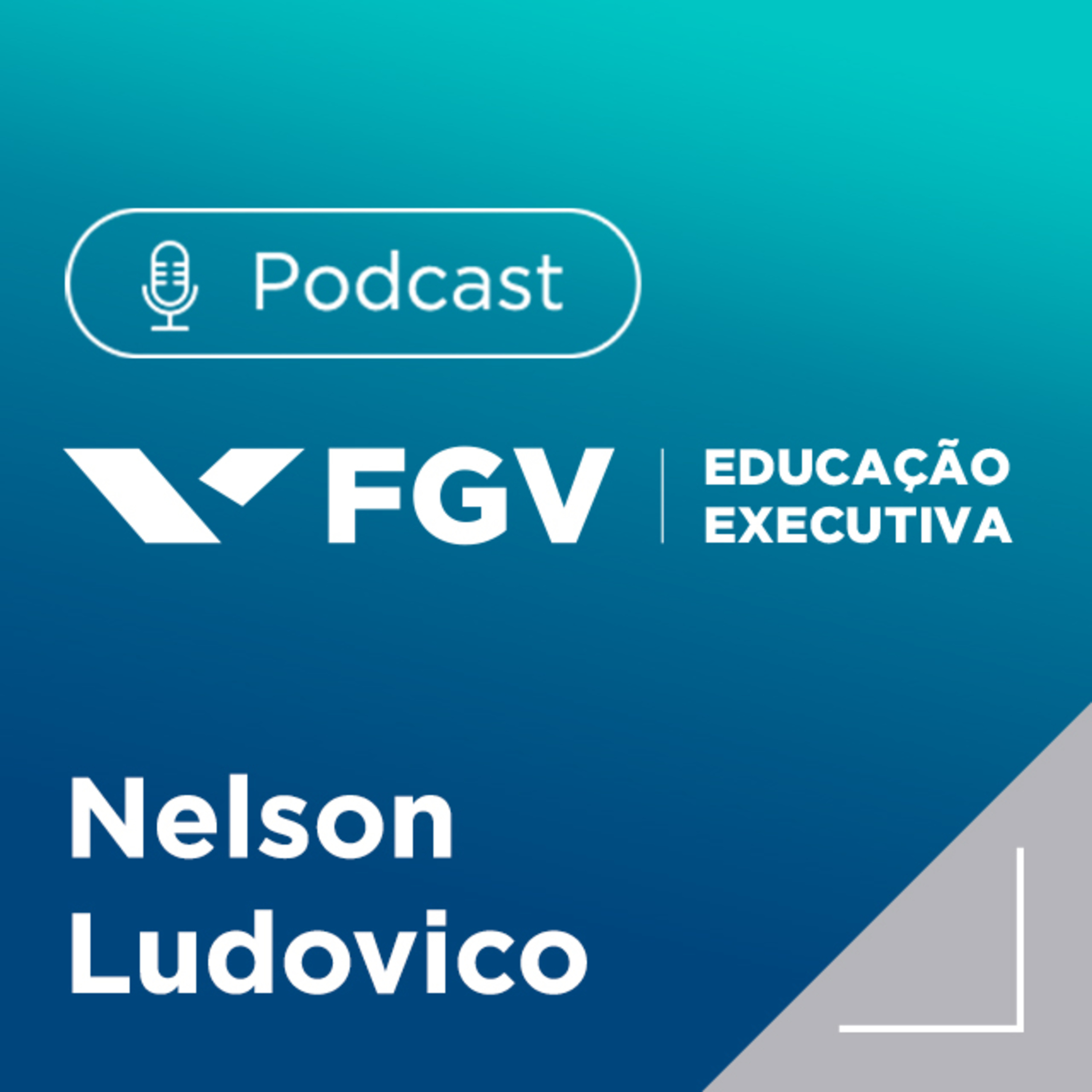 FGV Educação Executiva