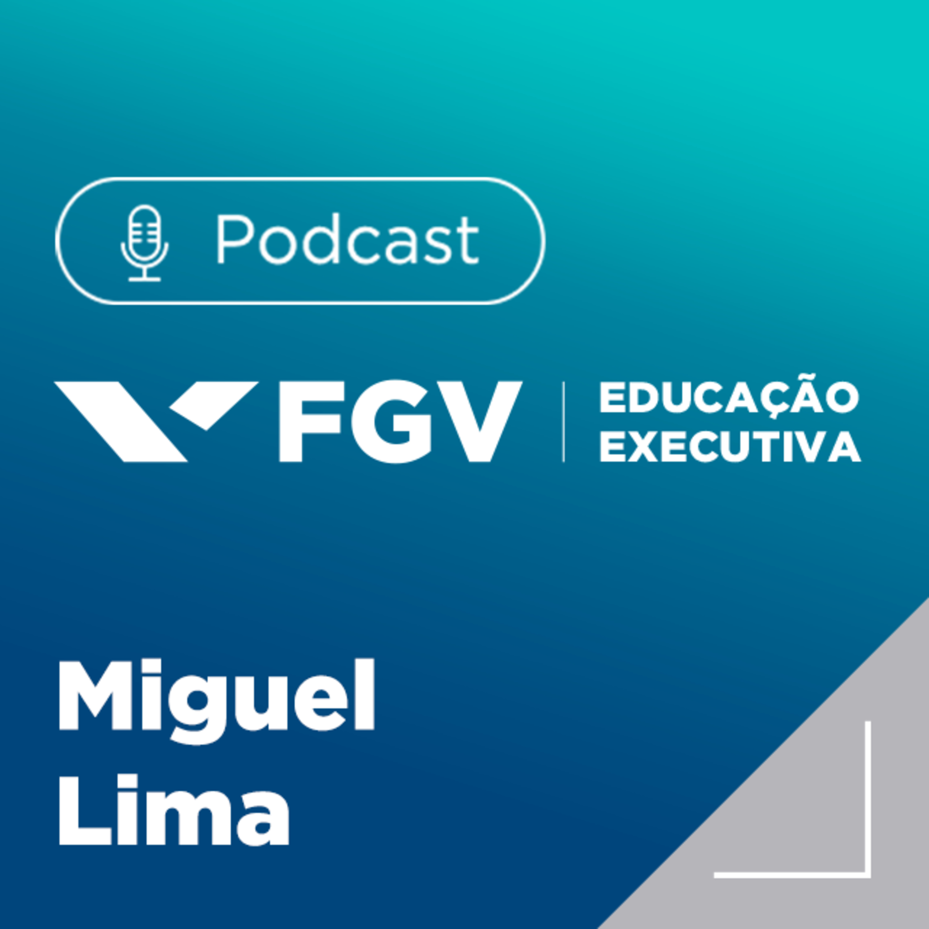 FGV Educação Executiva