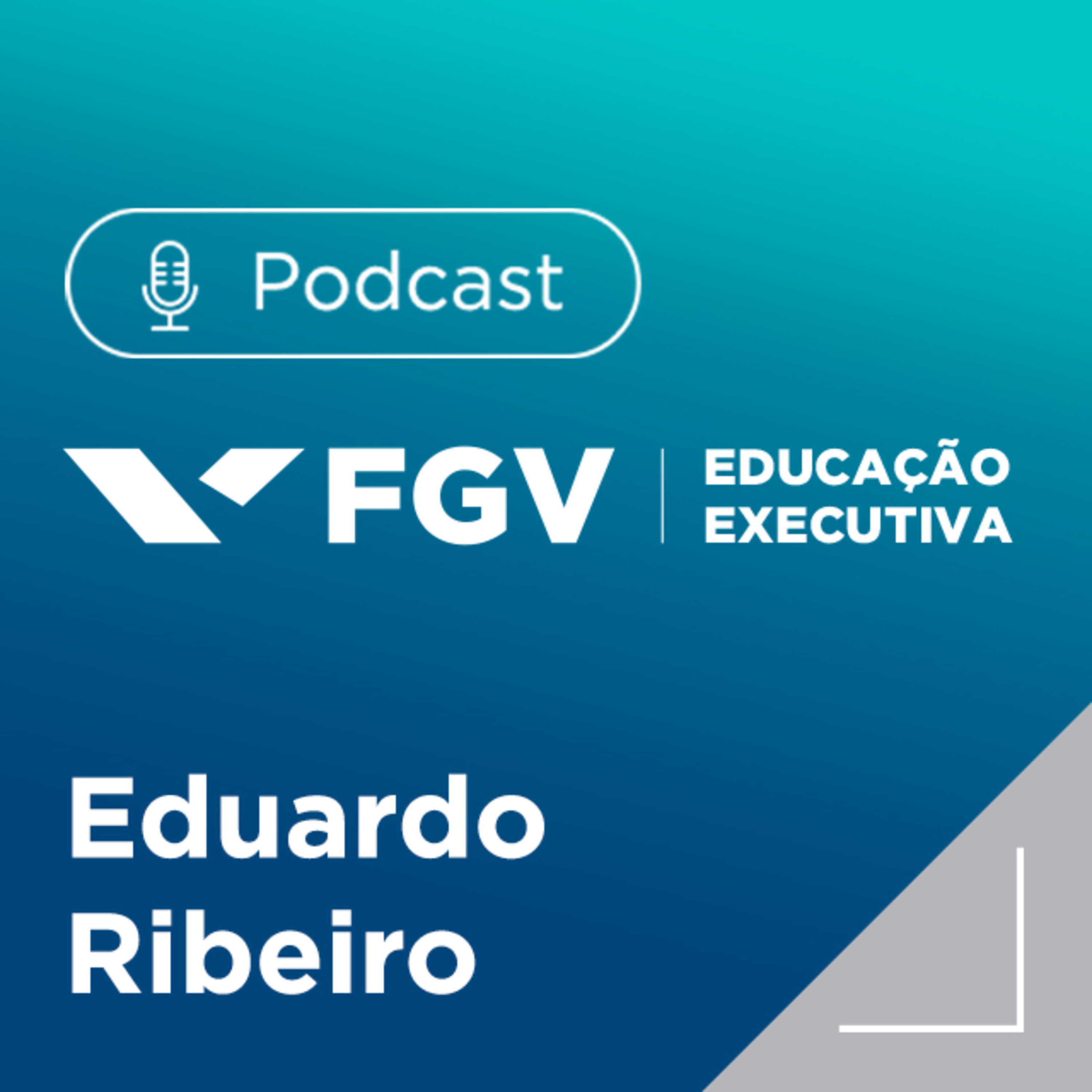 FGV Educação Executiva