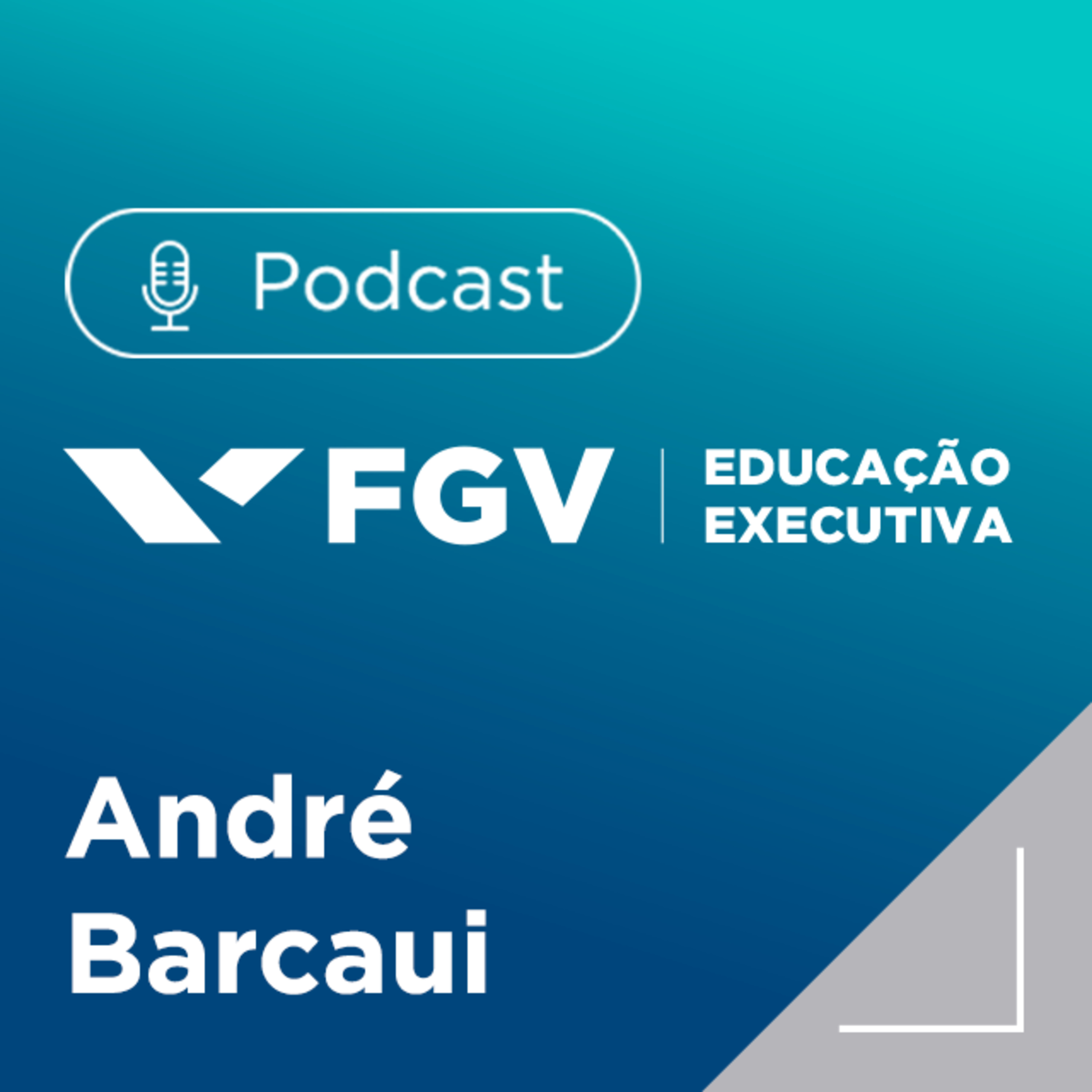 FGV Educação Executiva
