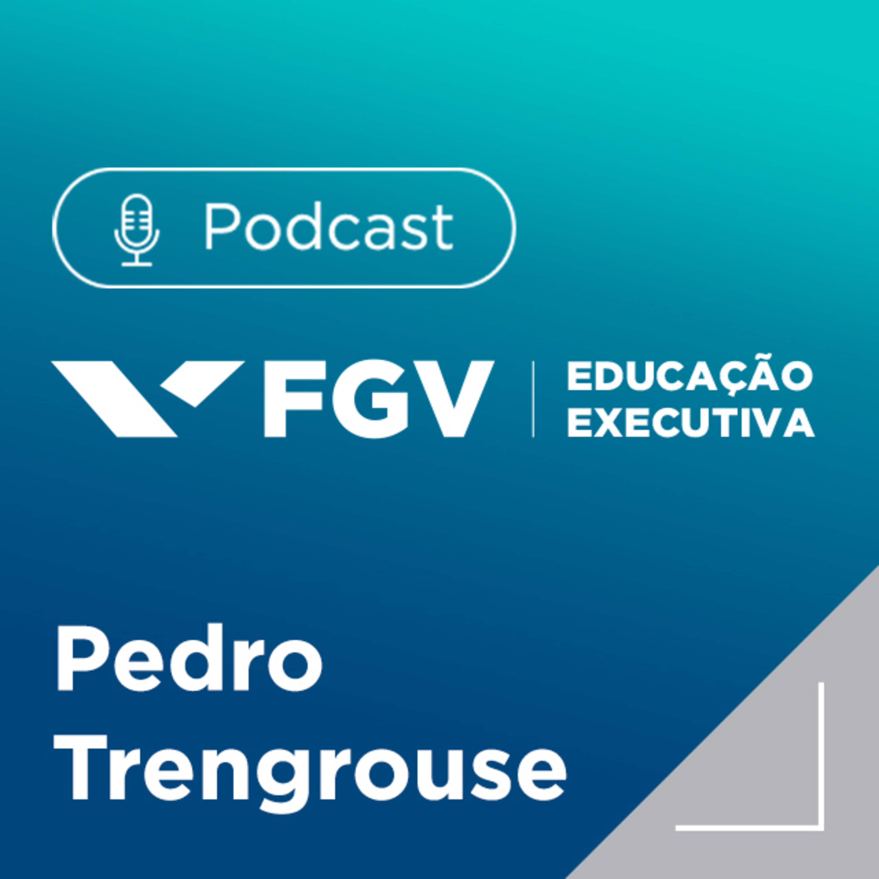 FGV Educação Executiva