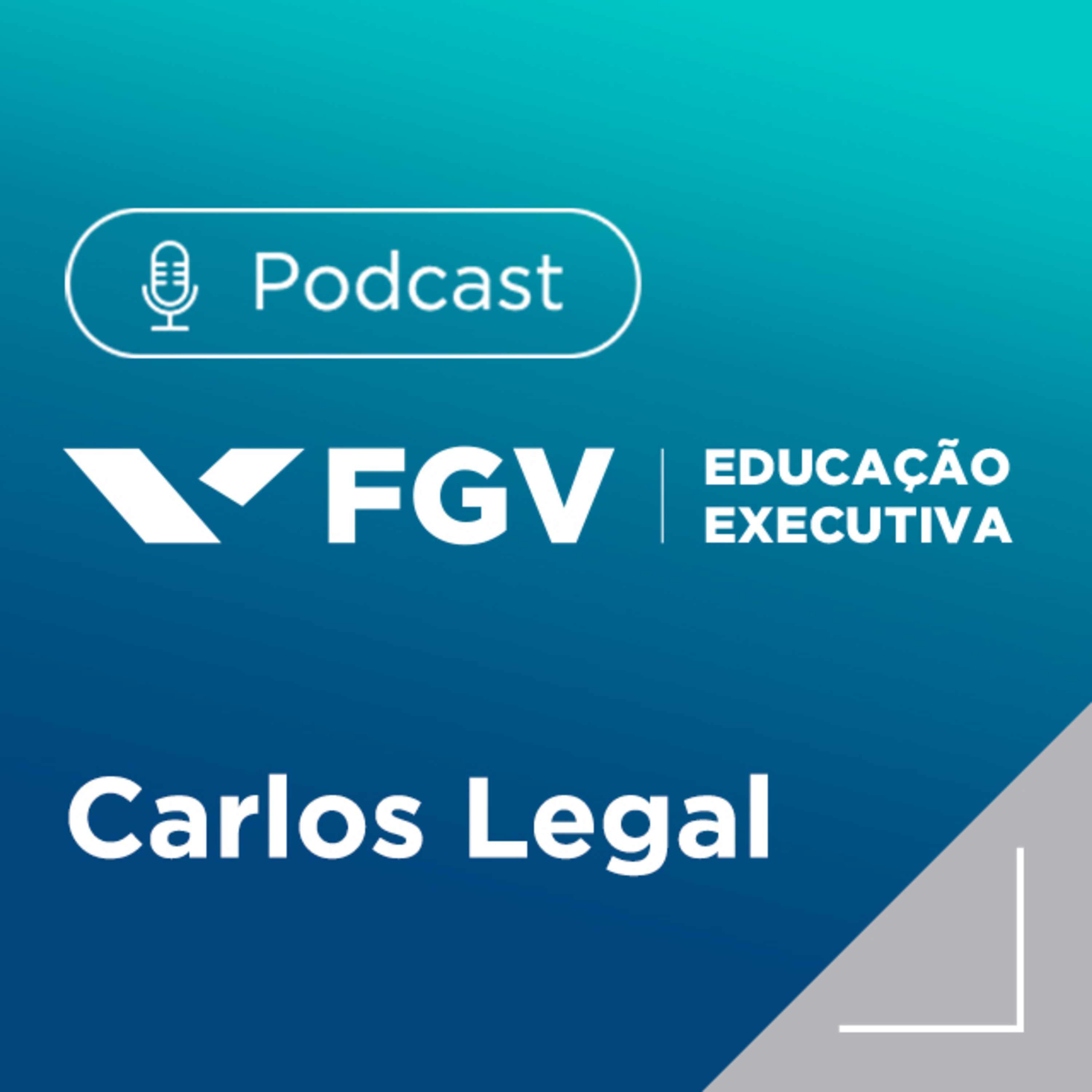 FGV Educação Executiva