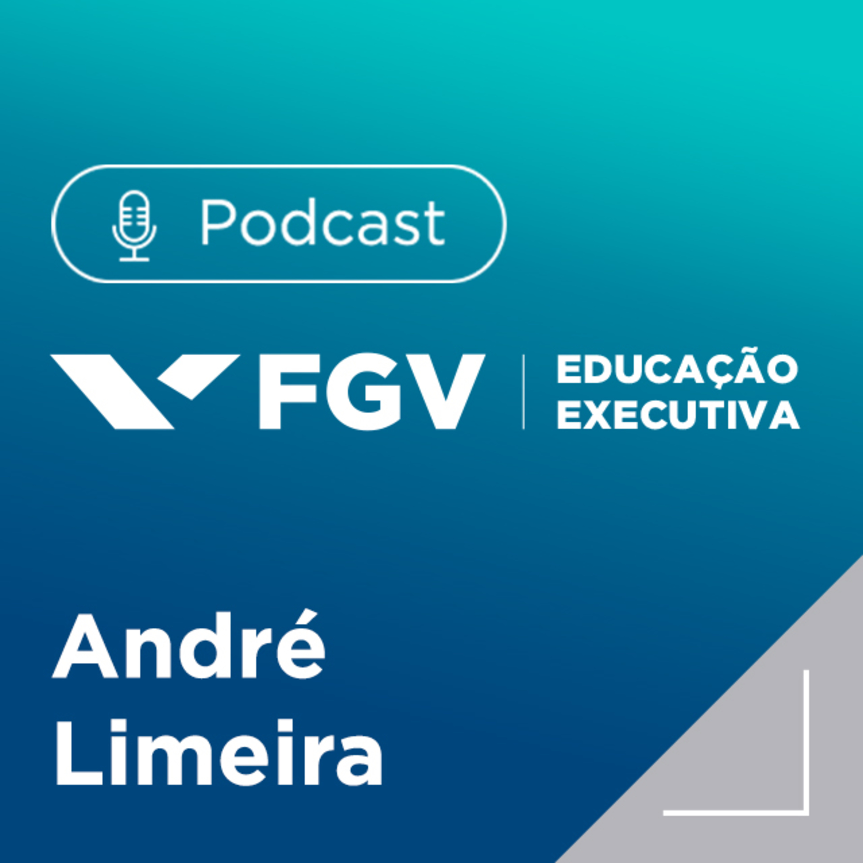 FGV Educação Executiva
