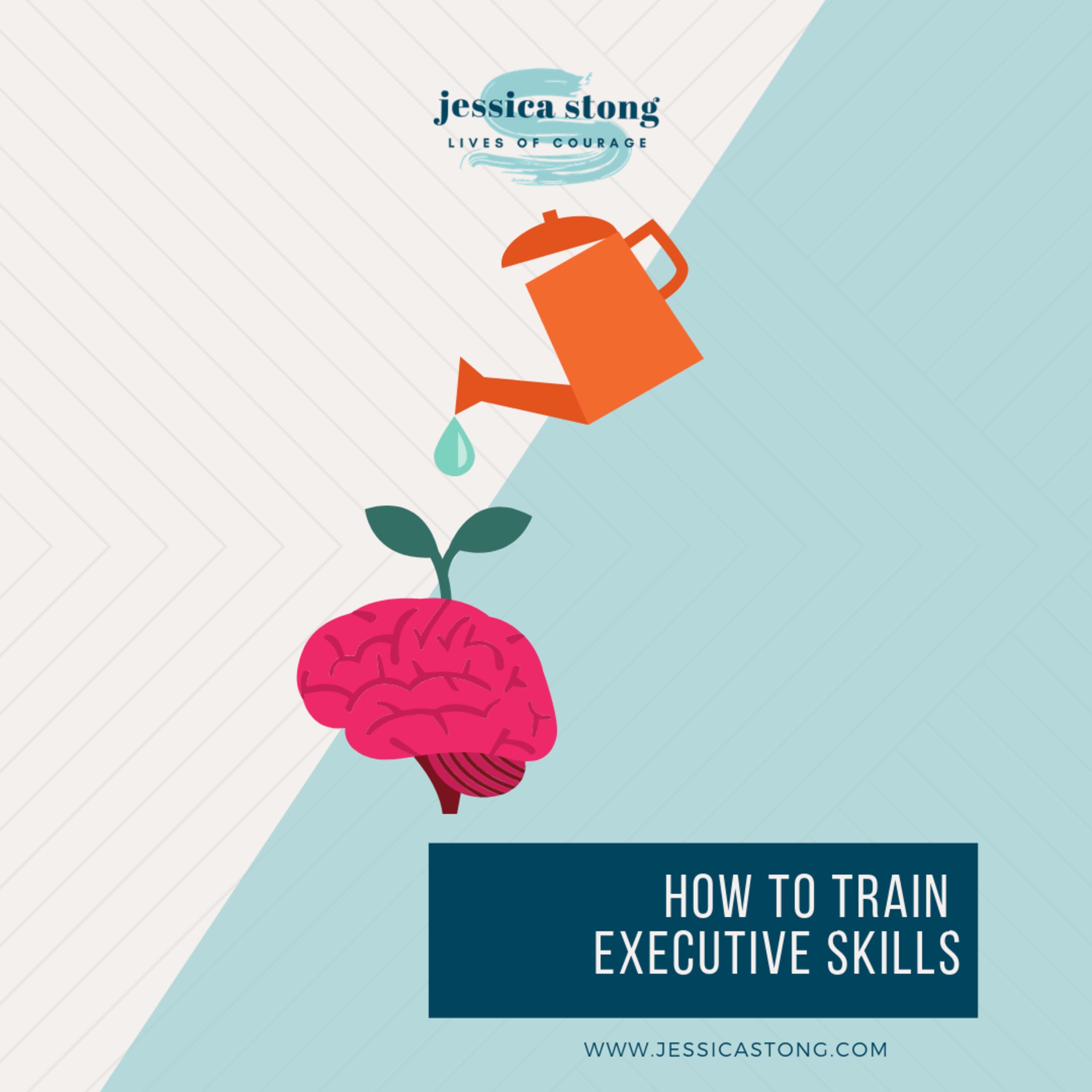 How to Train Executive Skills