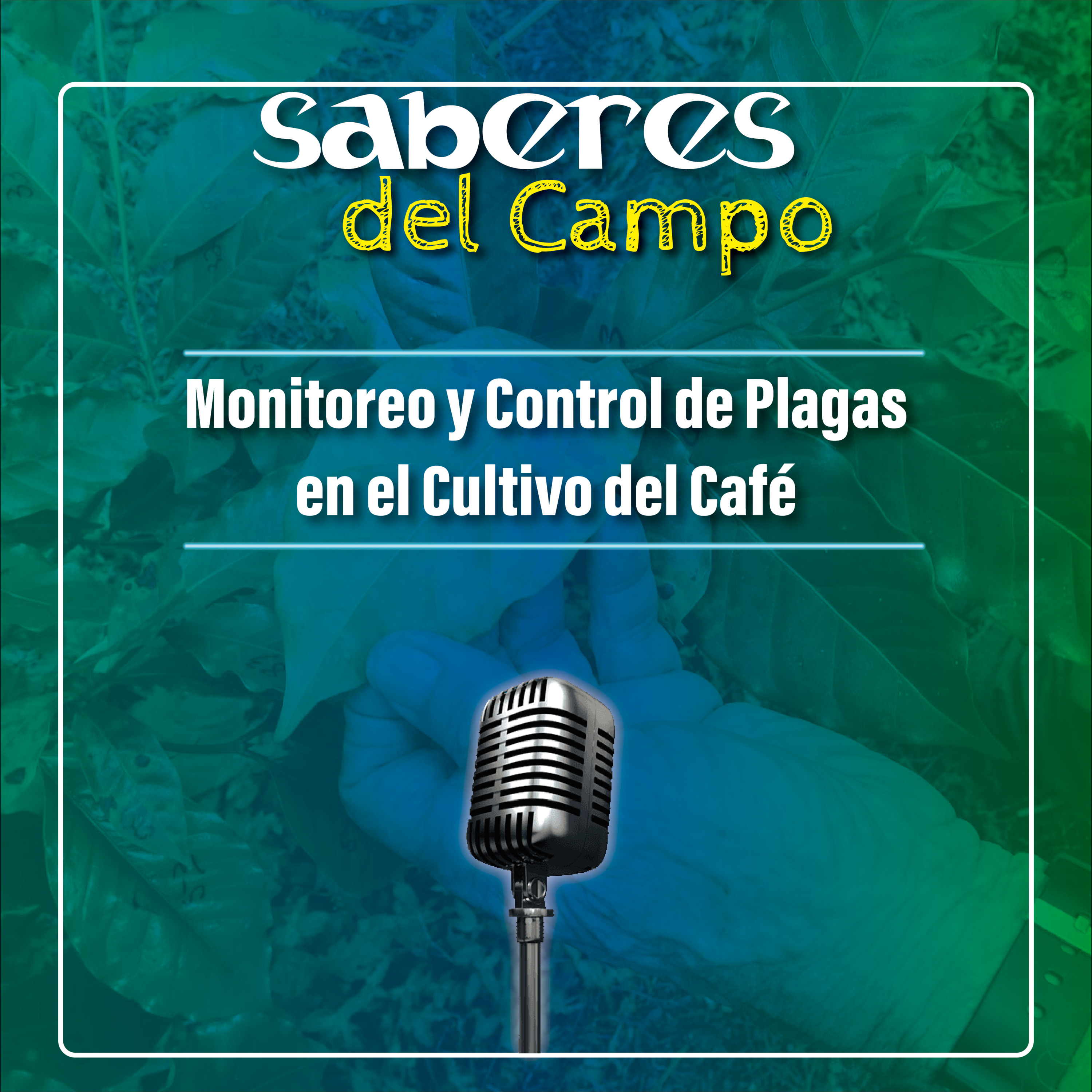 Saberes del Campo