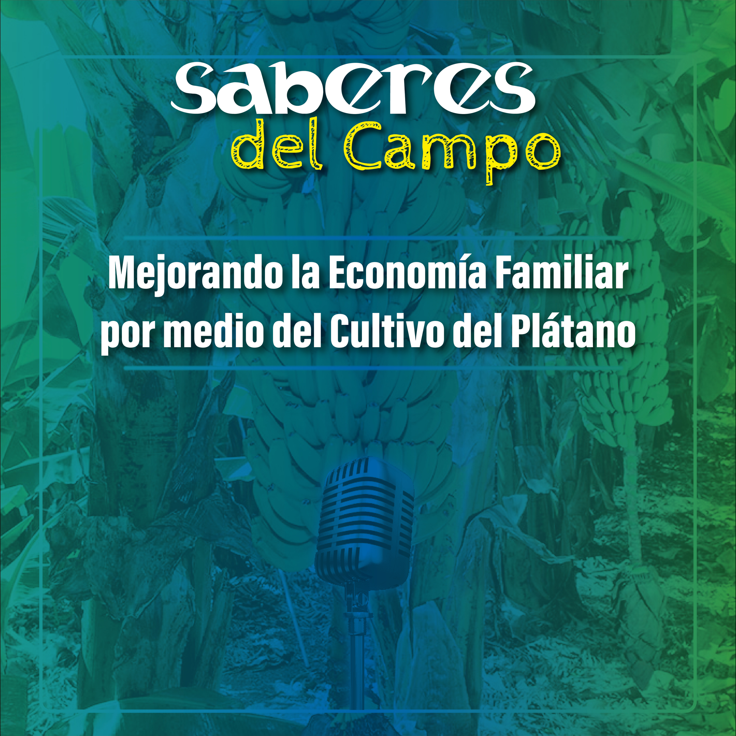 Saberes del Campo