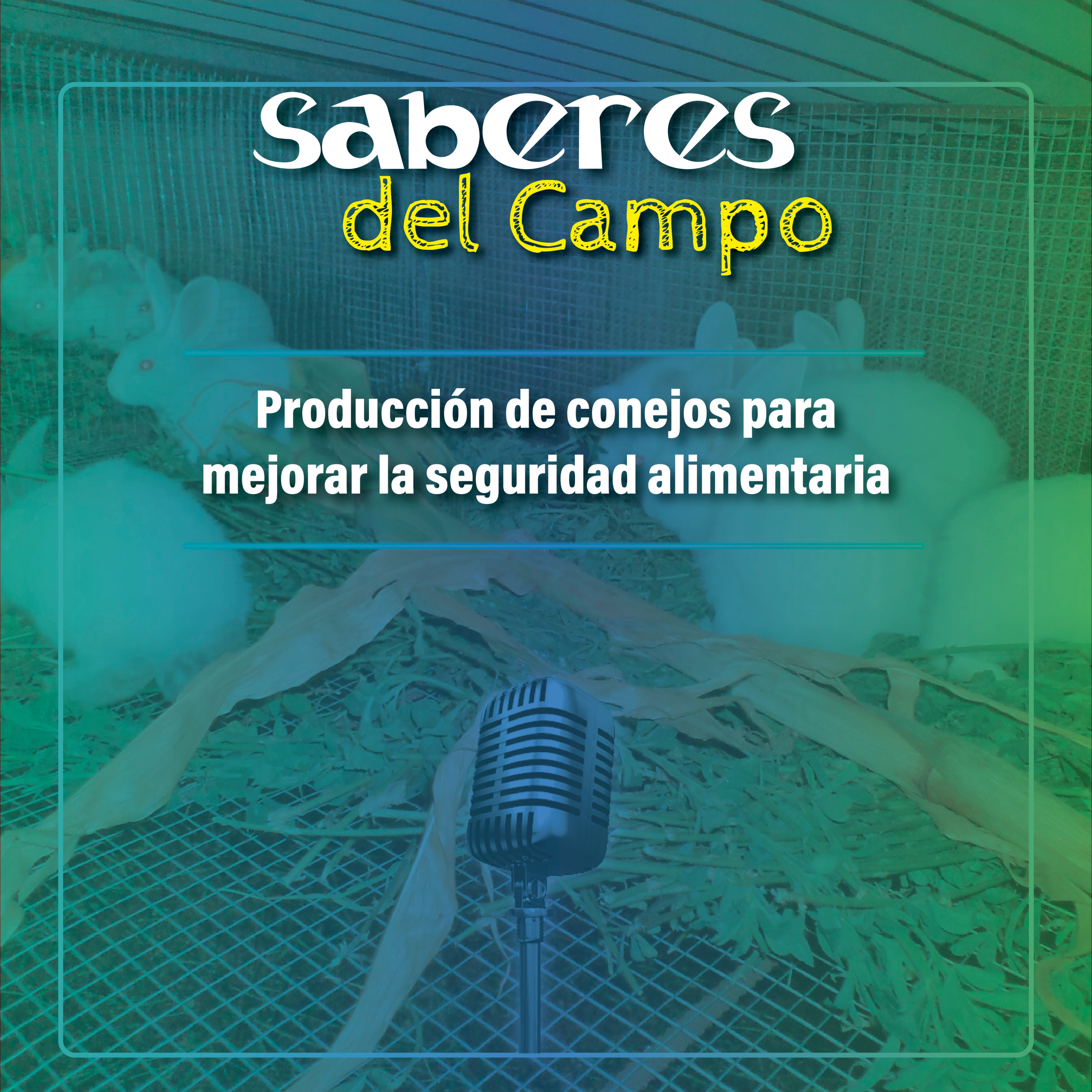 Saberes del Campo