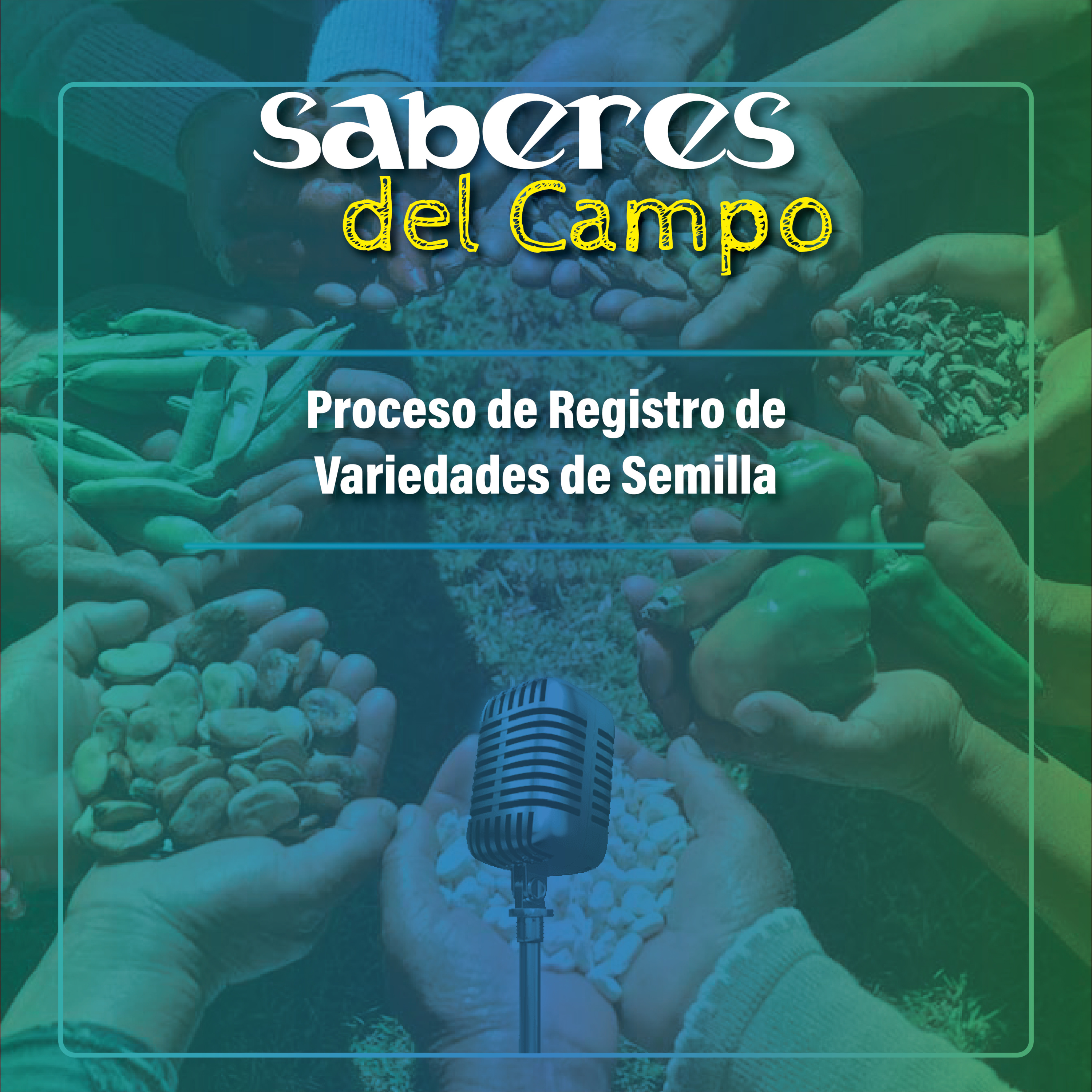 Saberes del Campo