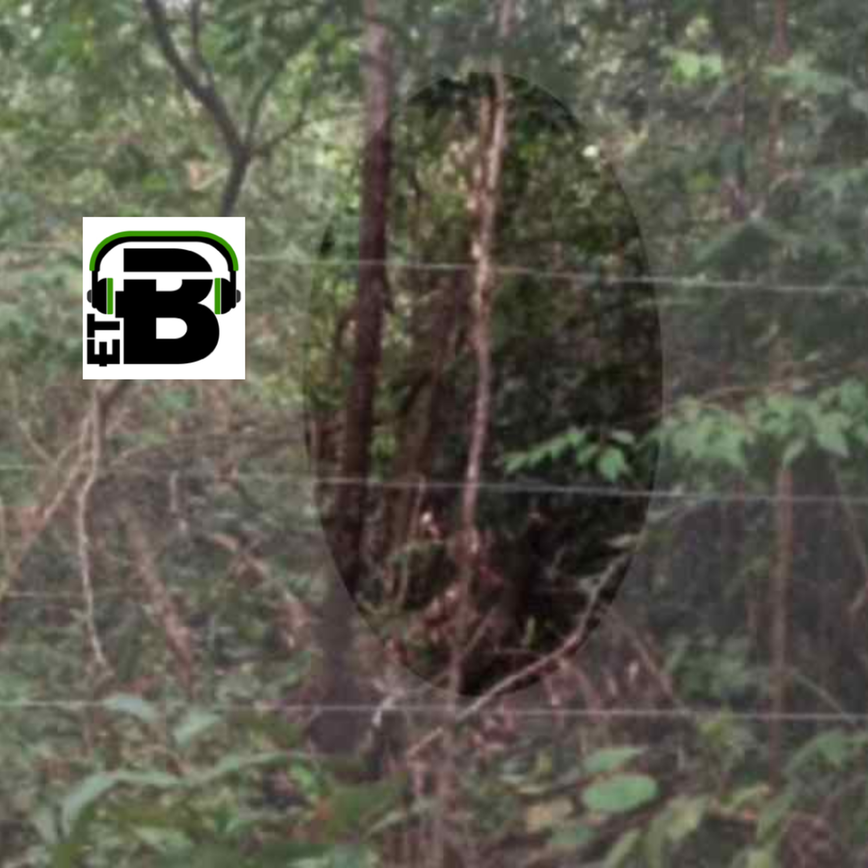 BiluCast