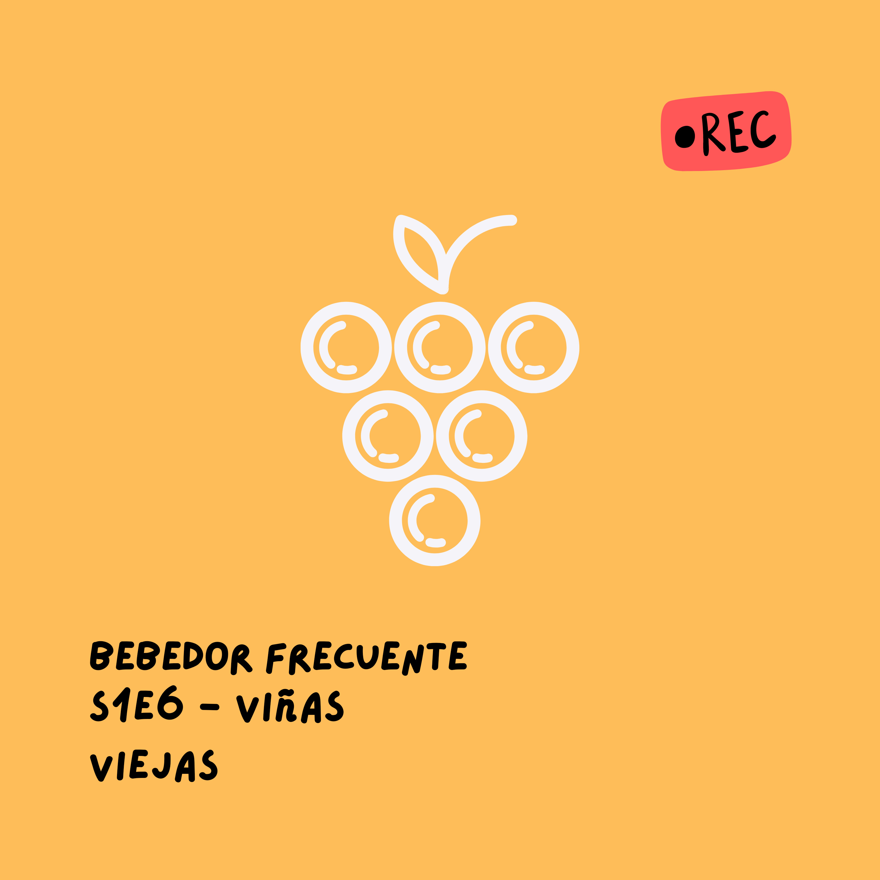 Bebedor Frecuente