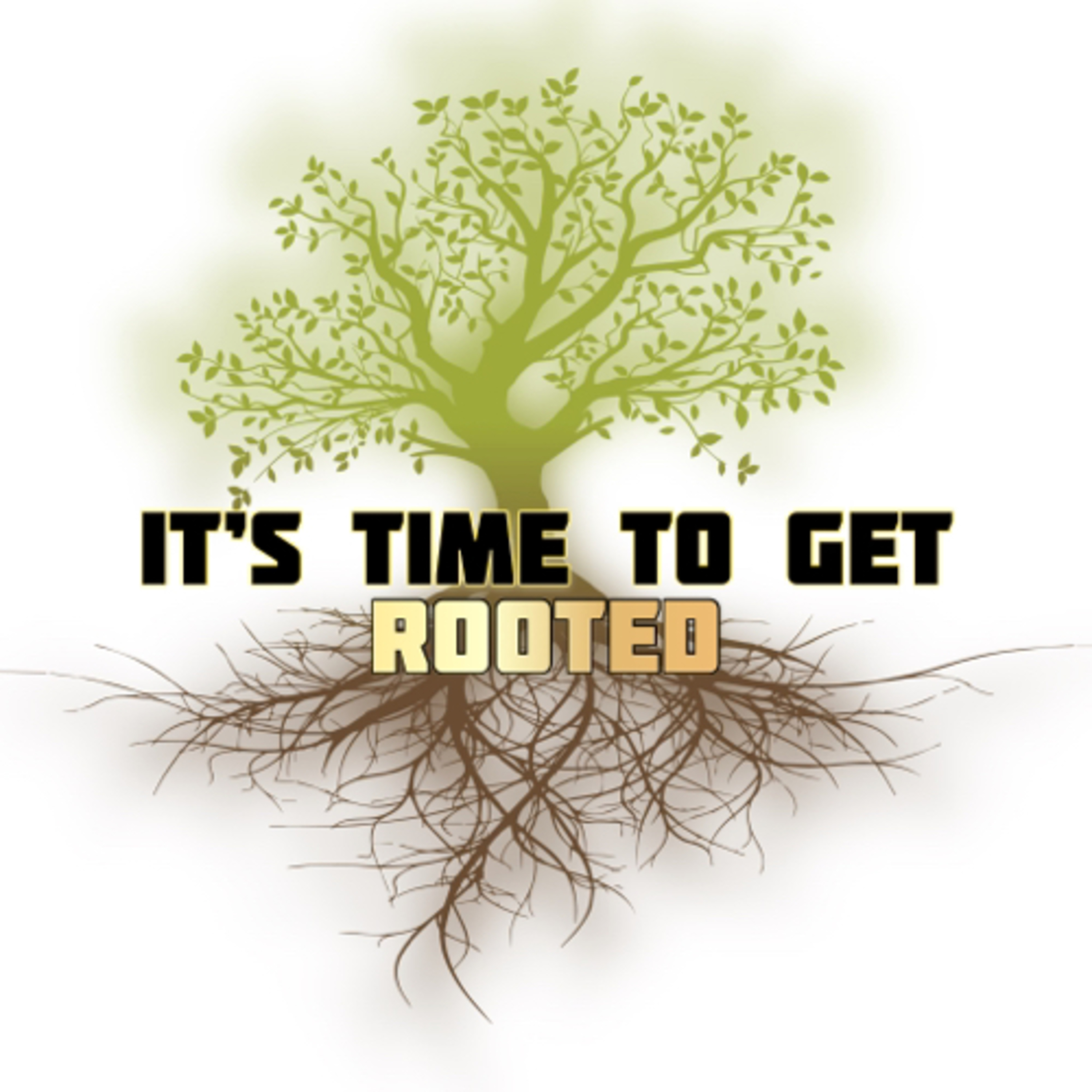 It’s time to get ROOTED! episode artwork