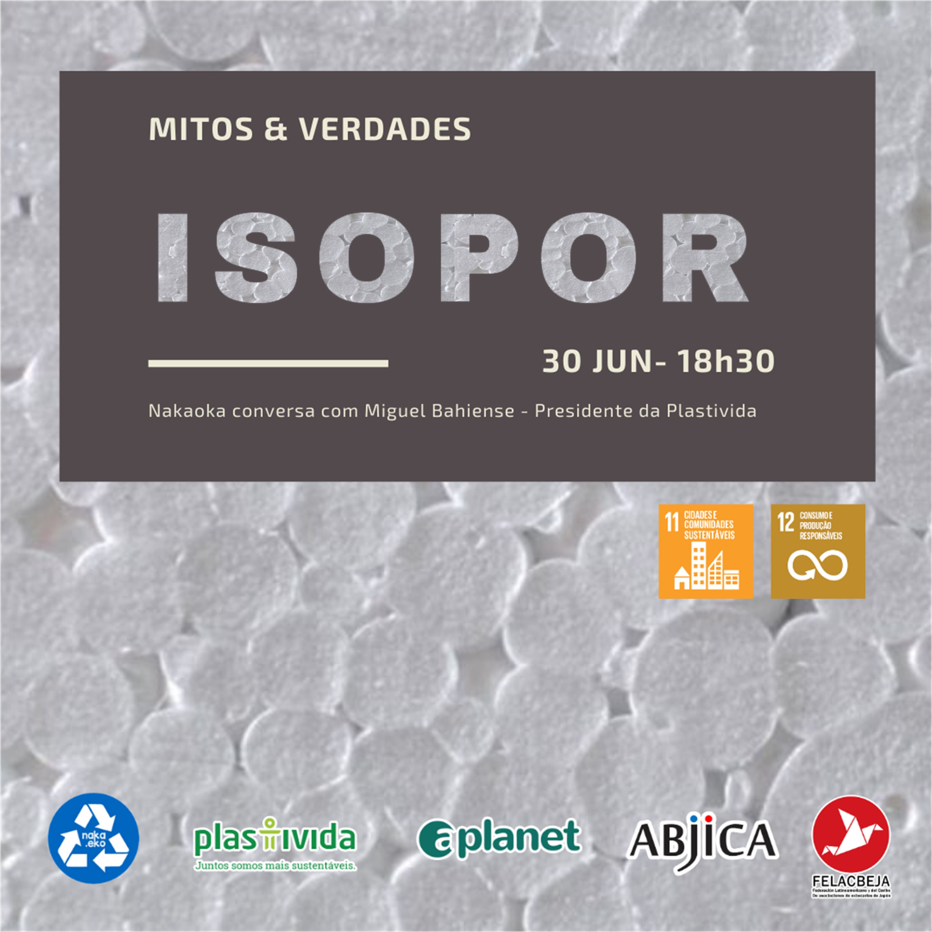 Educação ambiental com o Nakaoka