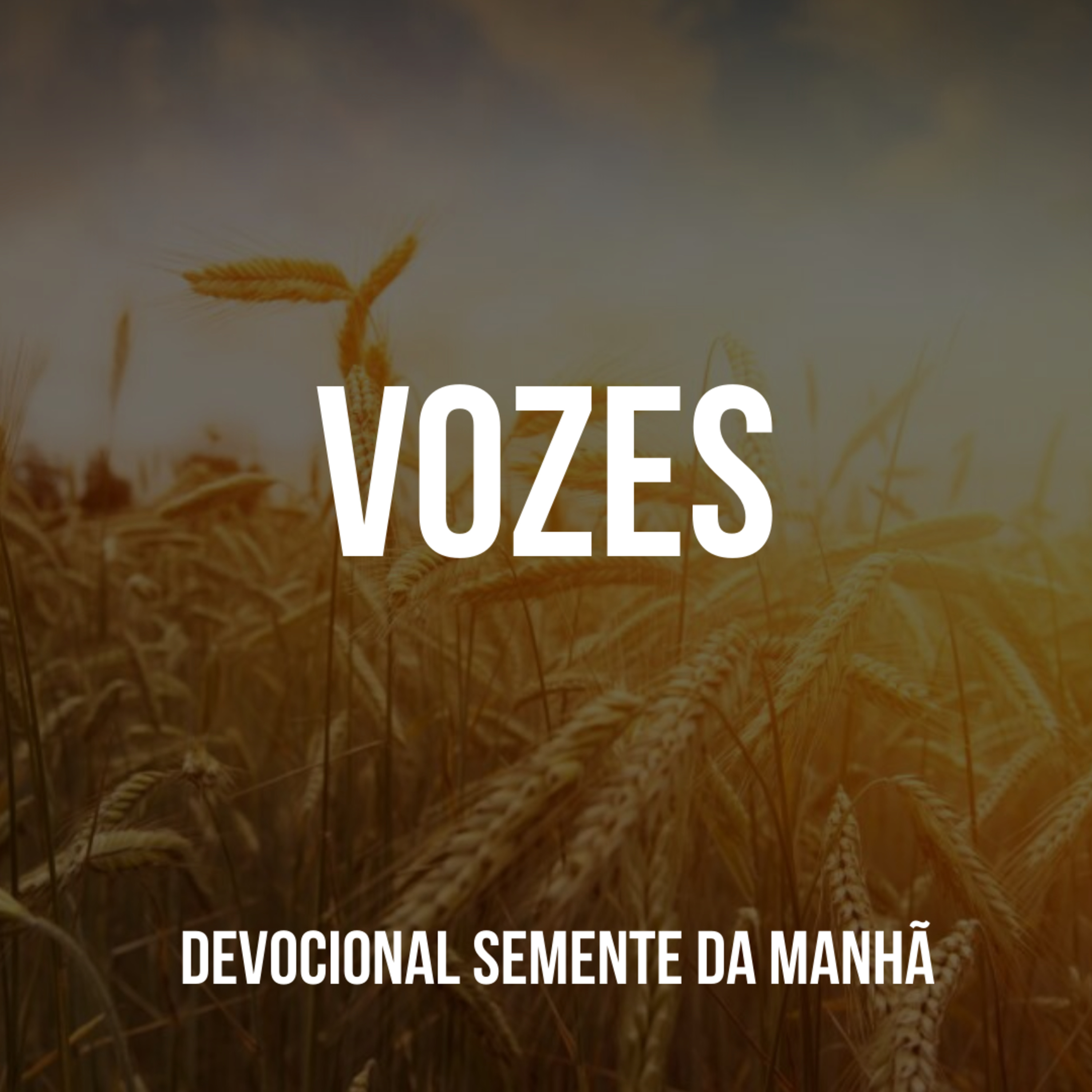Pr Fernando Mello - Devocionais