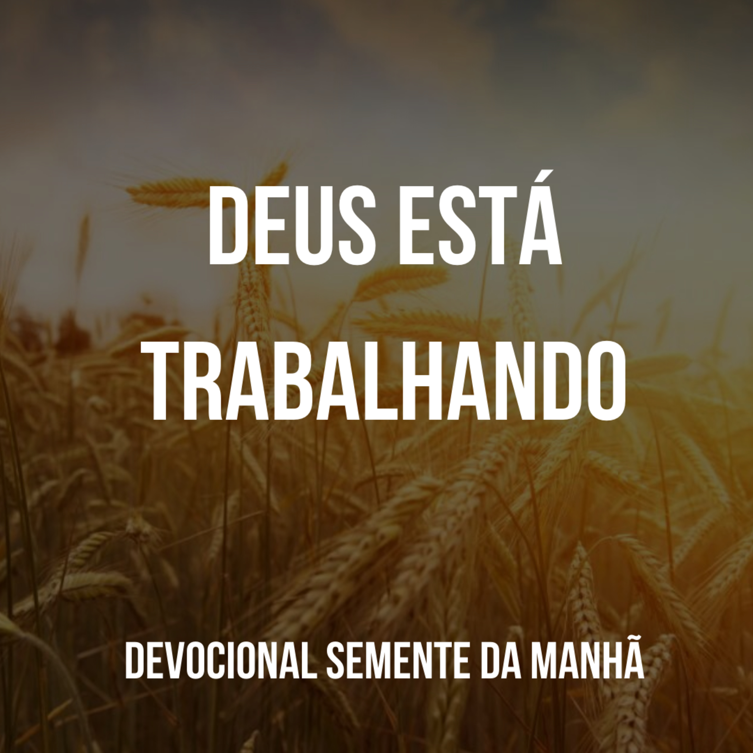 Pr Fernando Mello - Devocionais