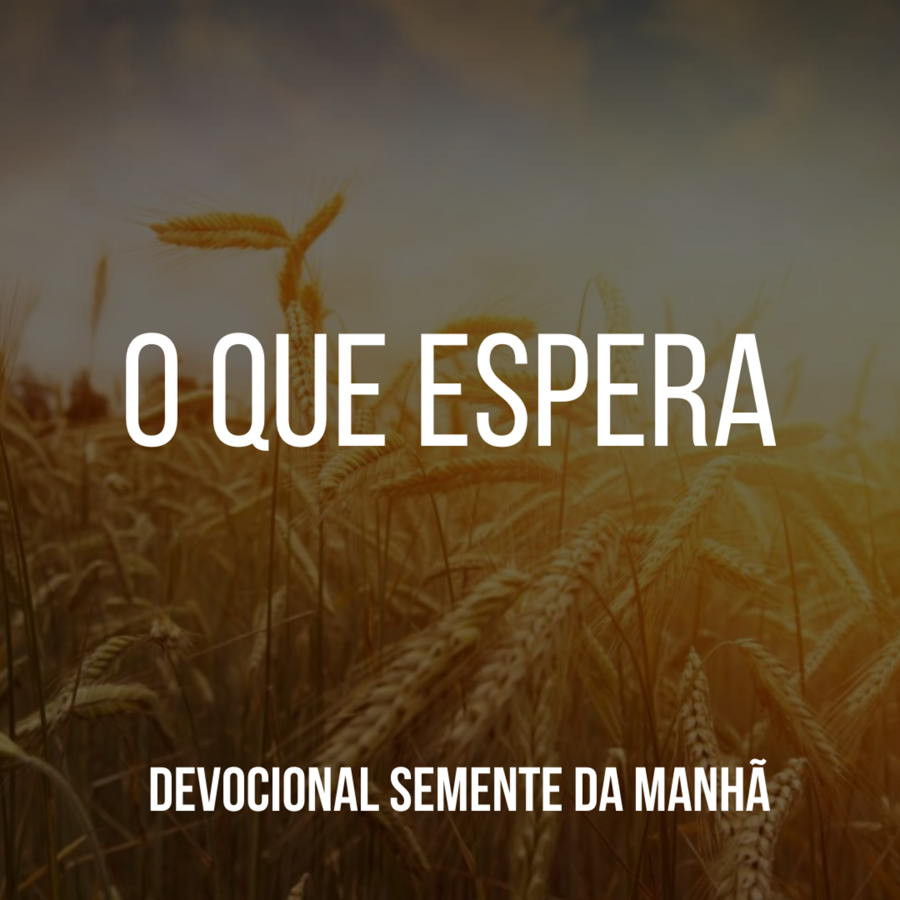 Pr Fernando Mello - Devocionais