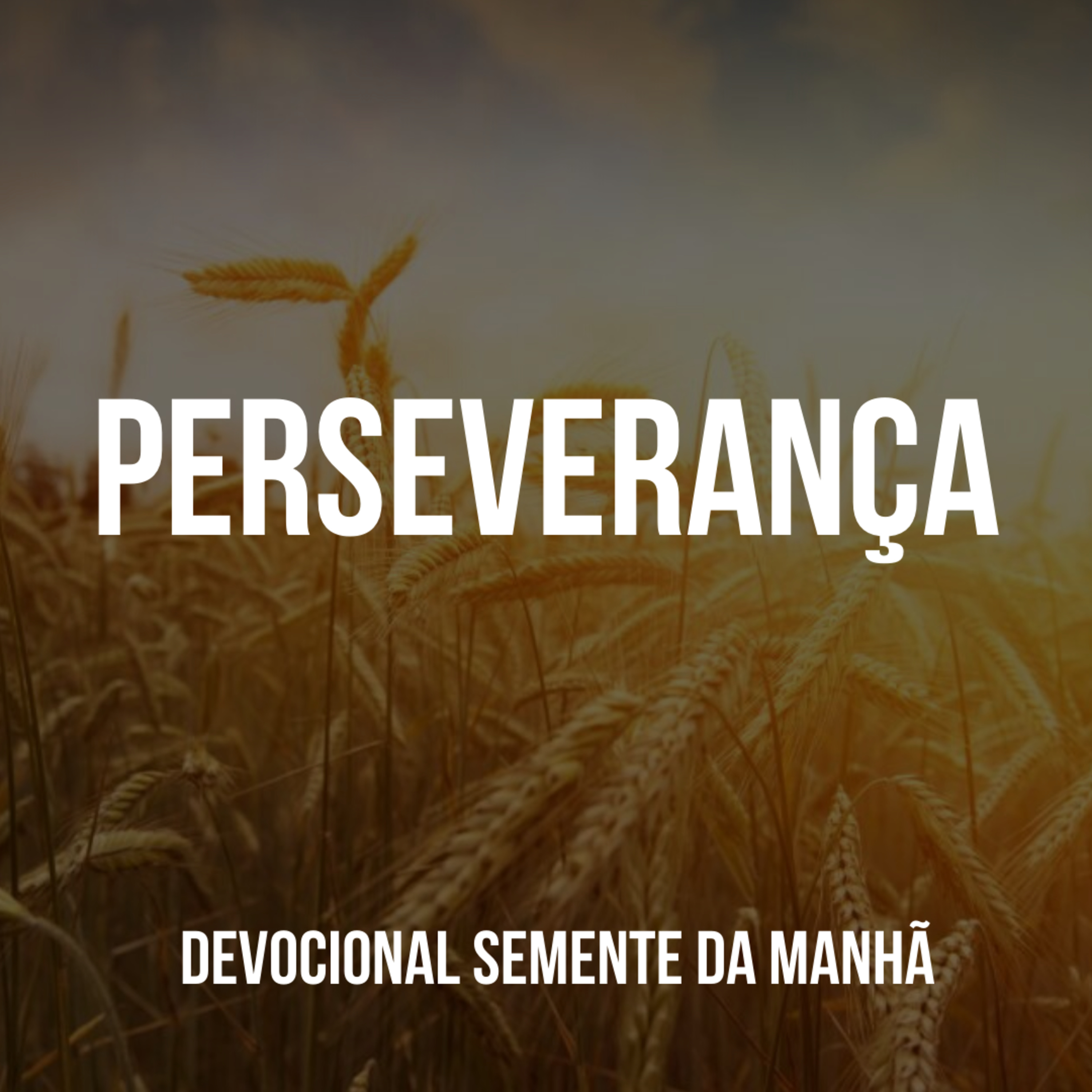 Pr Fernando Mello - Devocionais