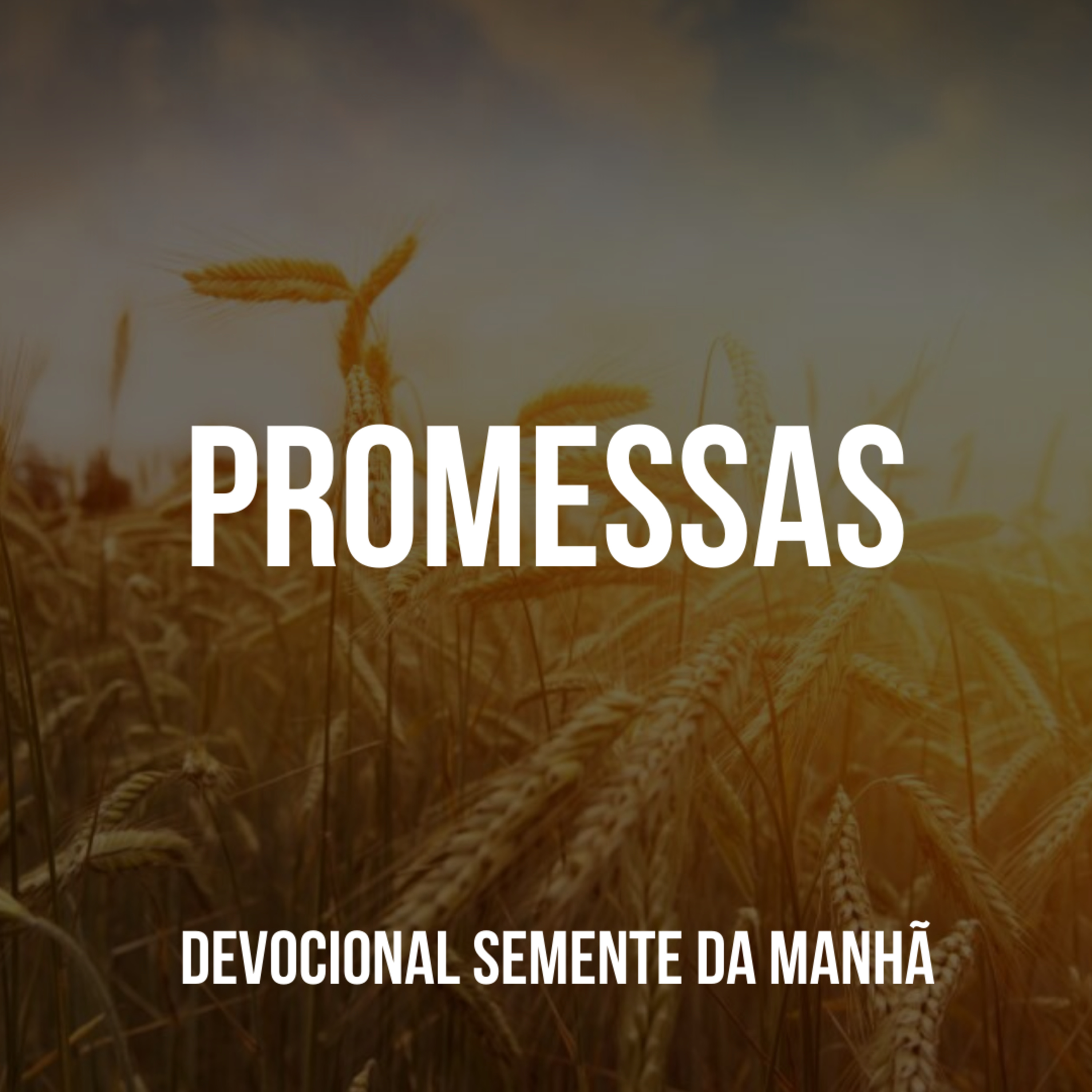 Pr Fernando Mello - Devocionais