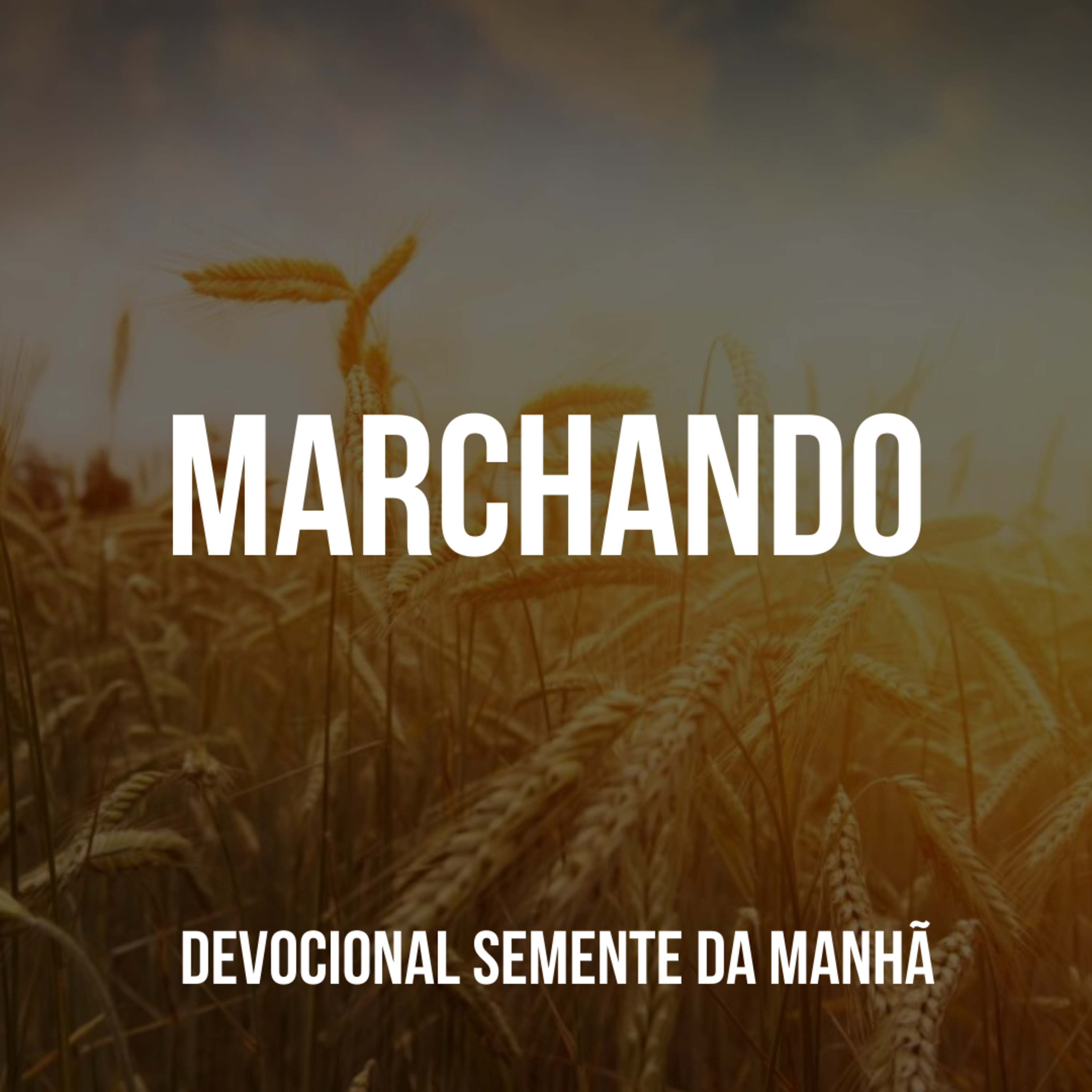 Pr Fernando Mello - Devocionais