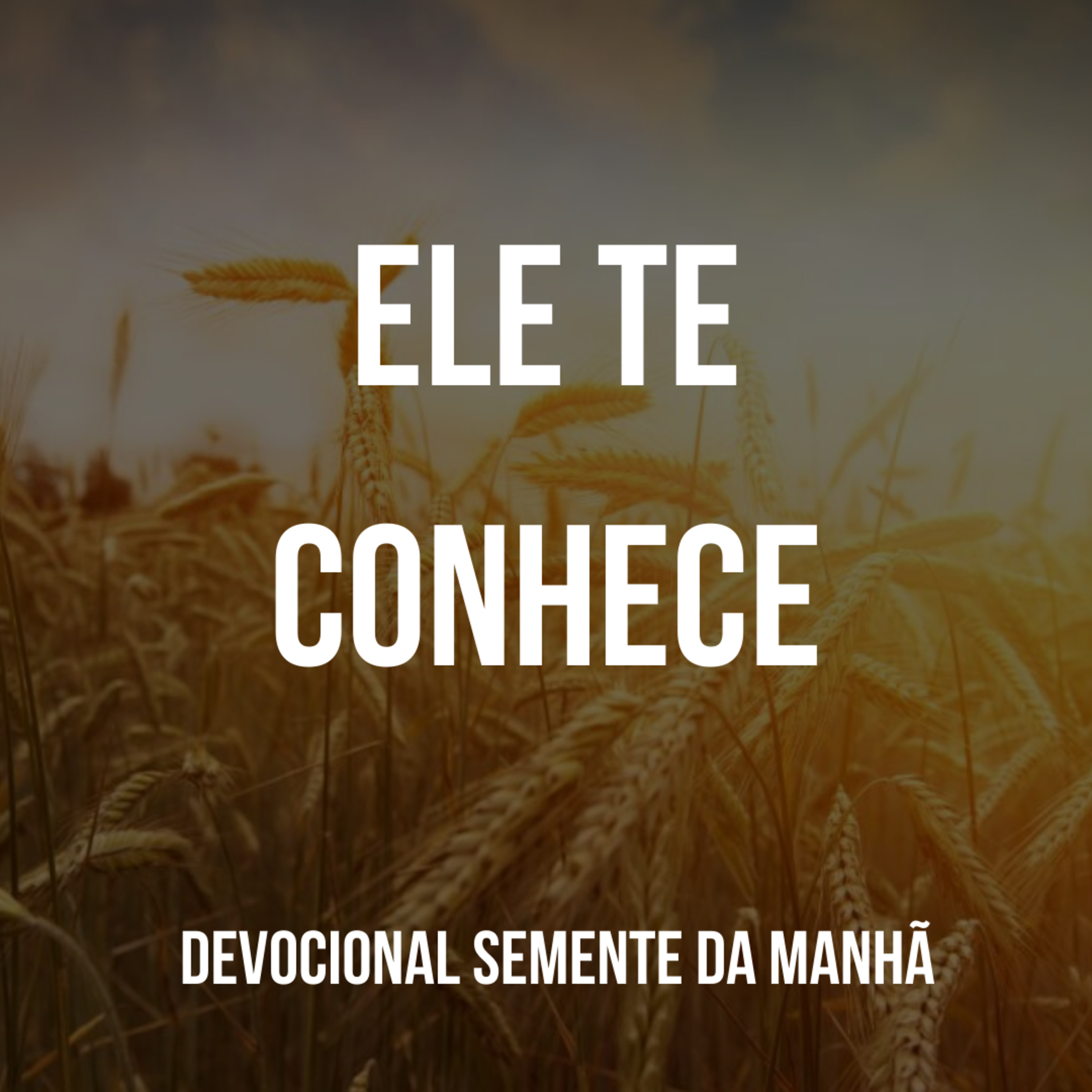 Pr Fernando Mello - Devocionais