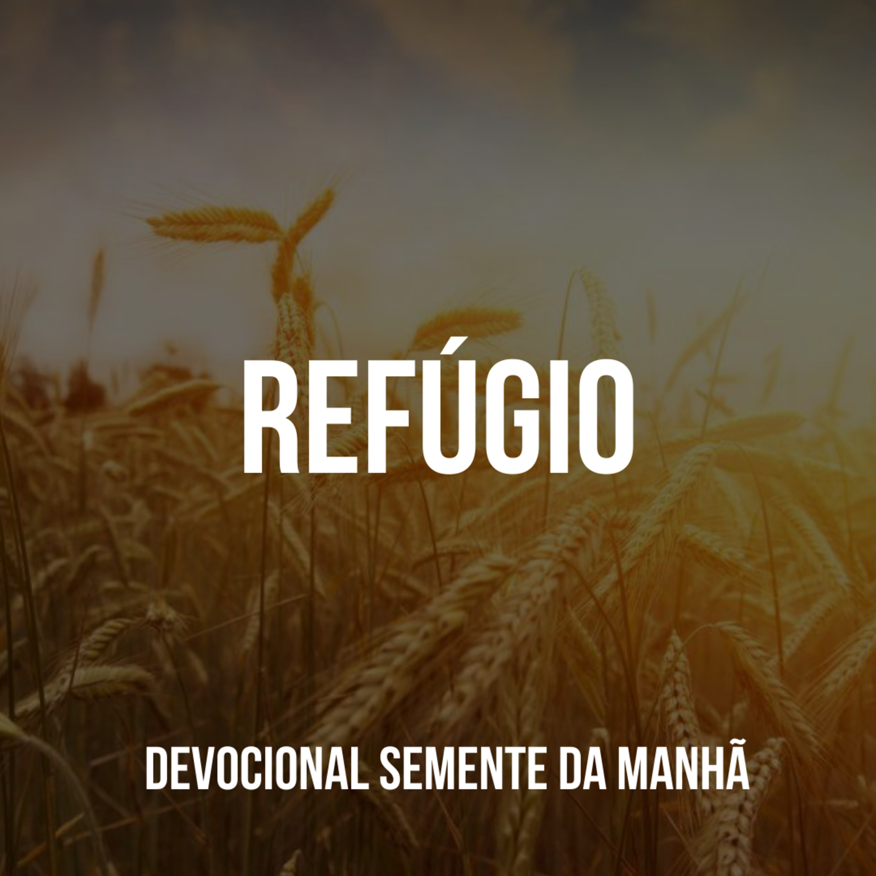 Pr Fernando Mello - Devocionais