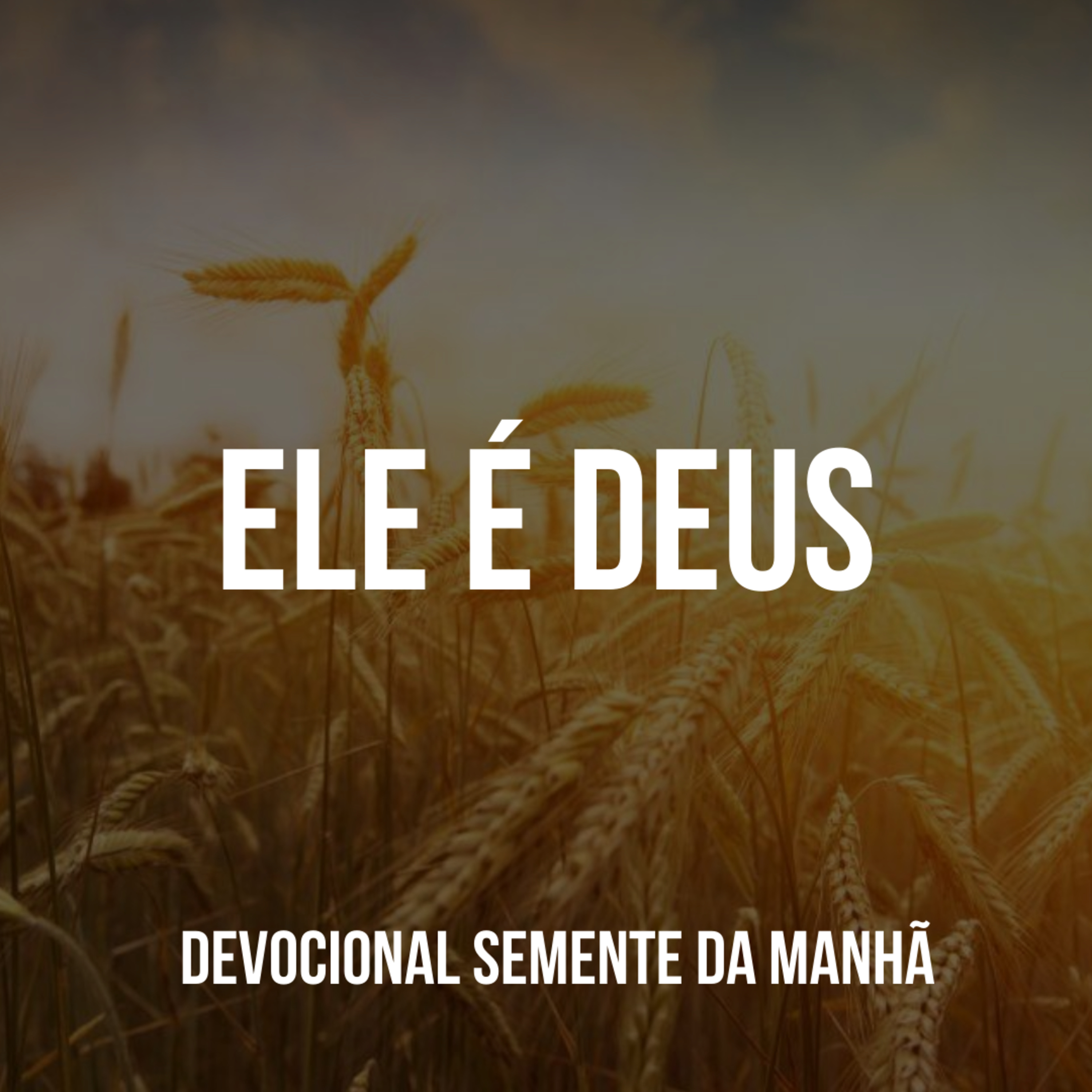 Pr Fernando Mello - Devocionais