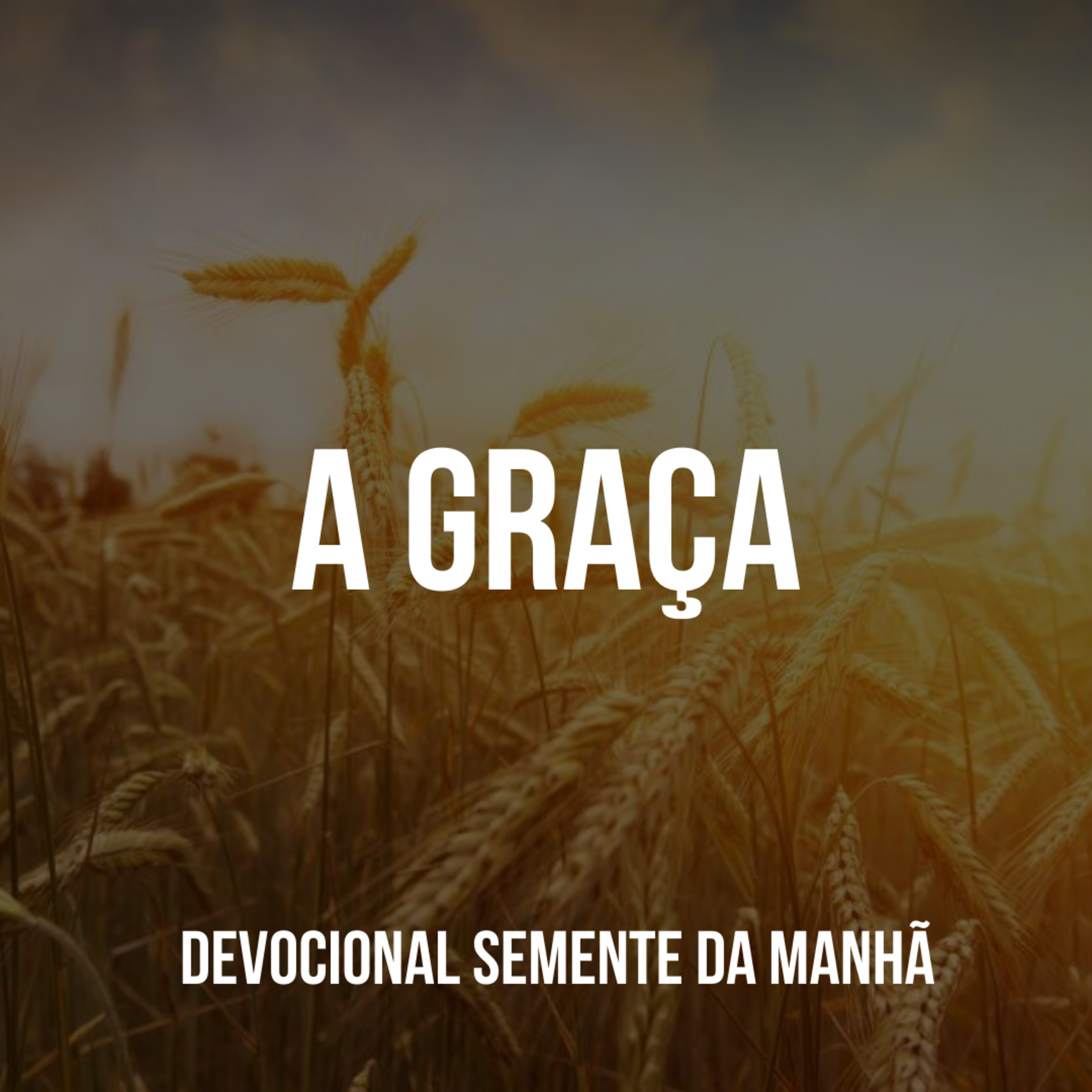 Pr Fernando Mello - Devocionais