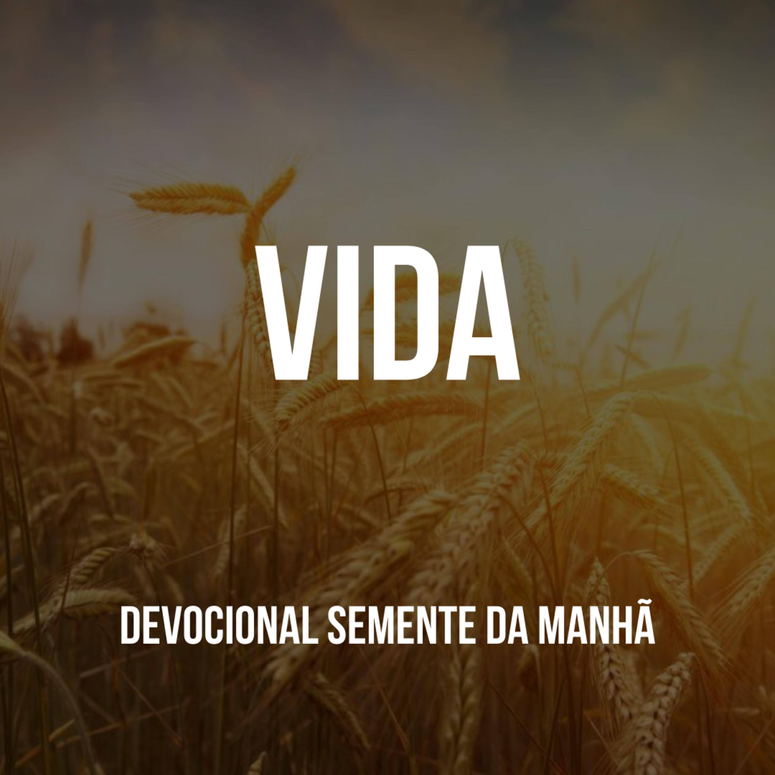 Pr Fernando Mello - Devocionais