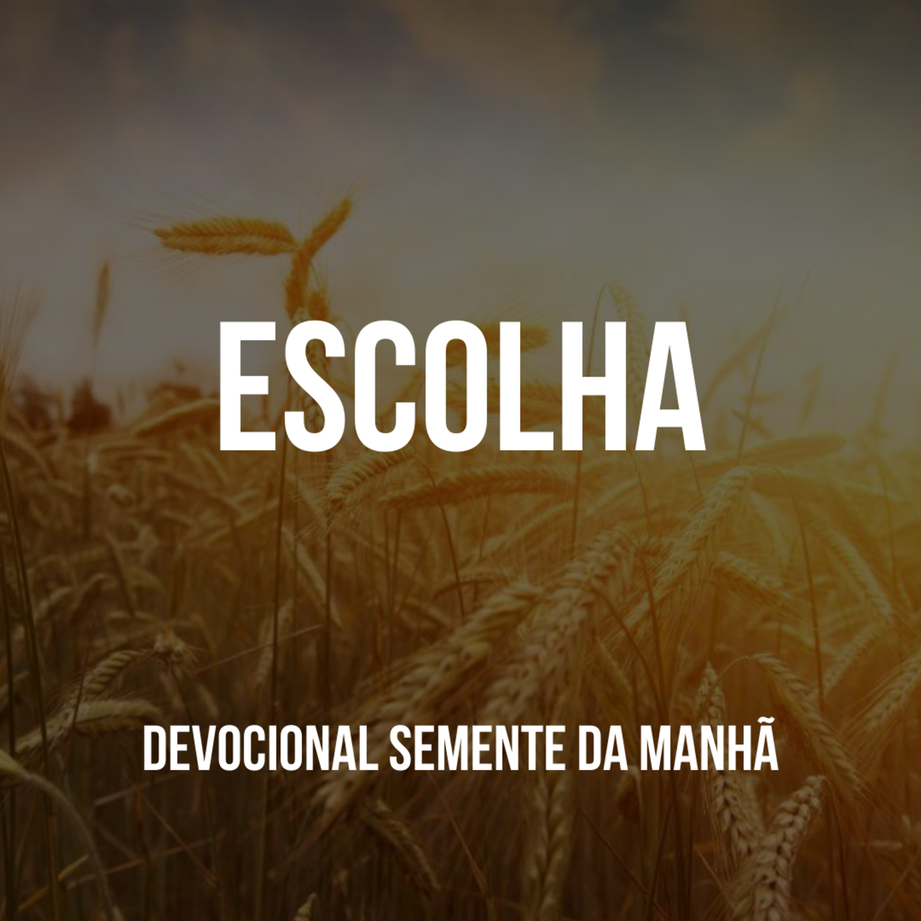 Pr Fernando Mello - Devocionais