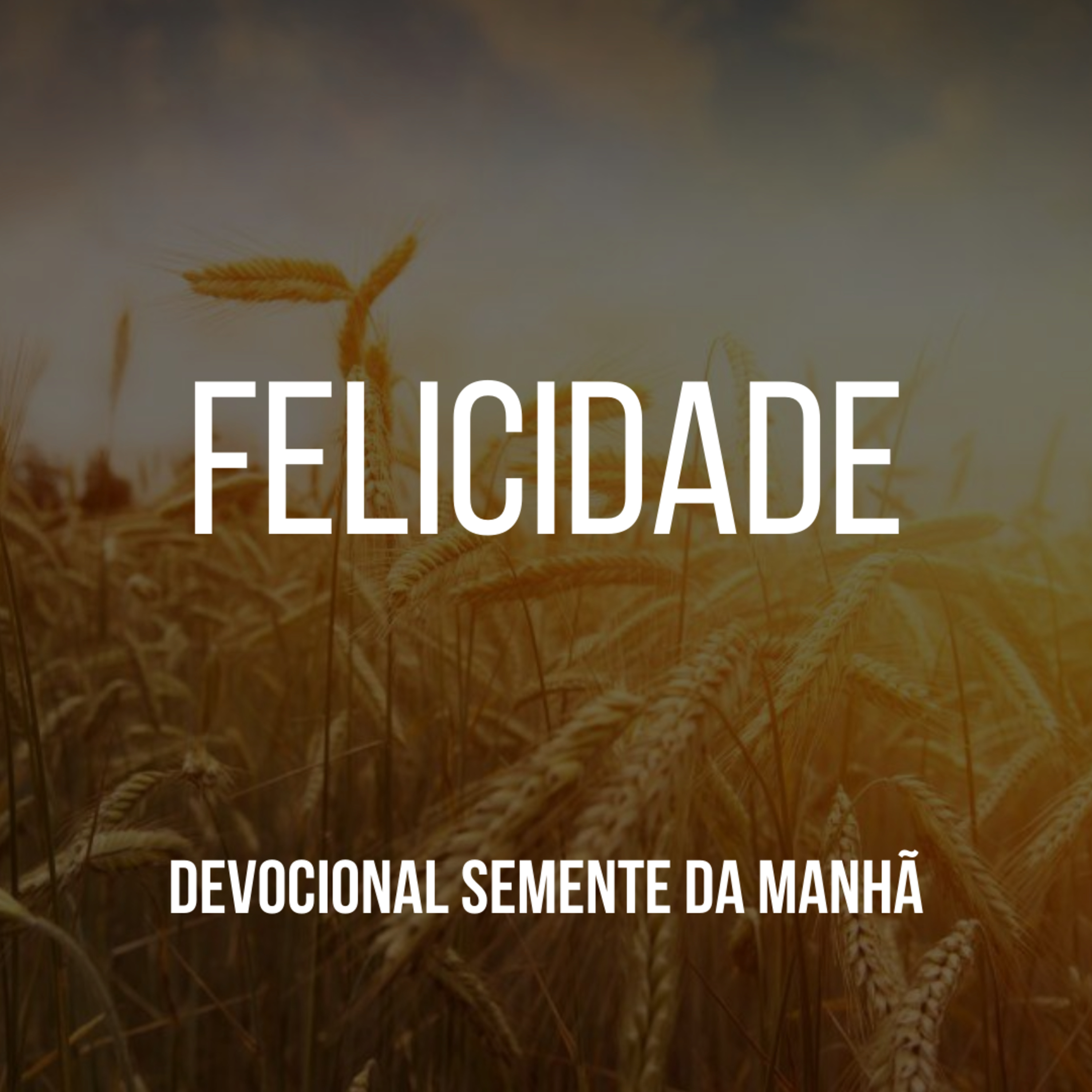 Pr Fernando Mello - Devocionais