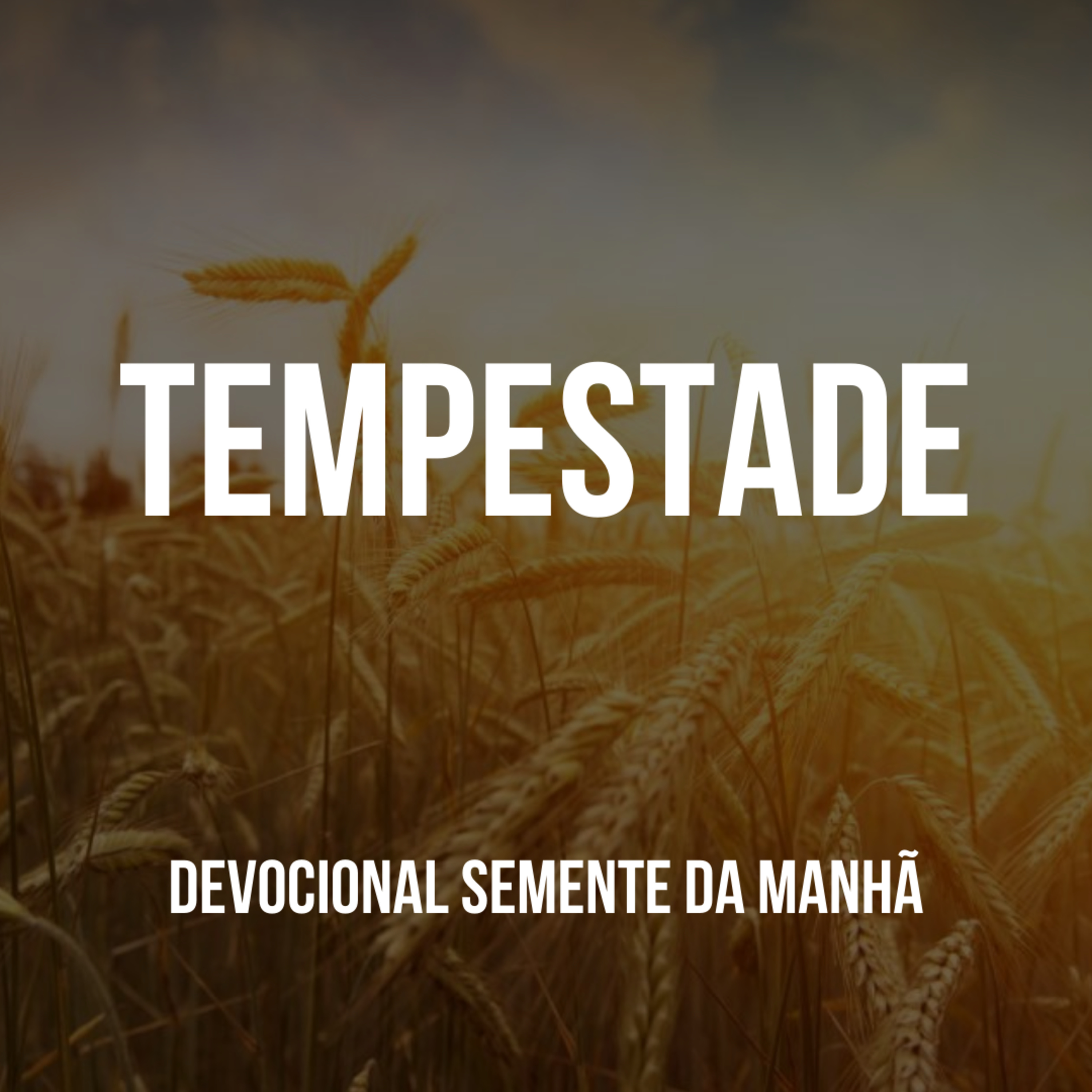 Pr Fernando Mello - Devocionais