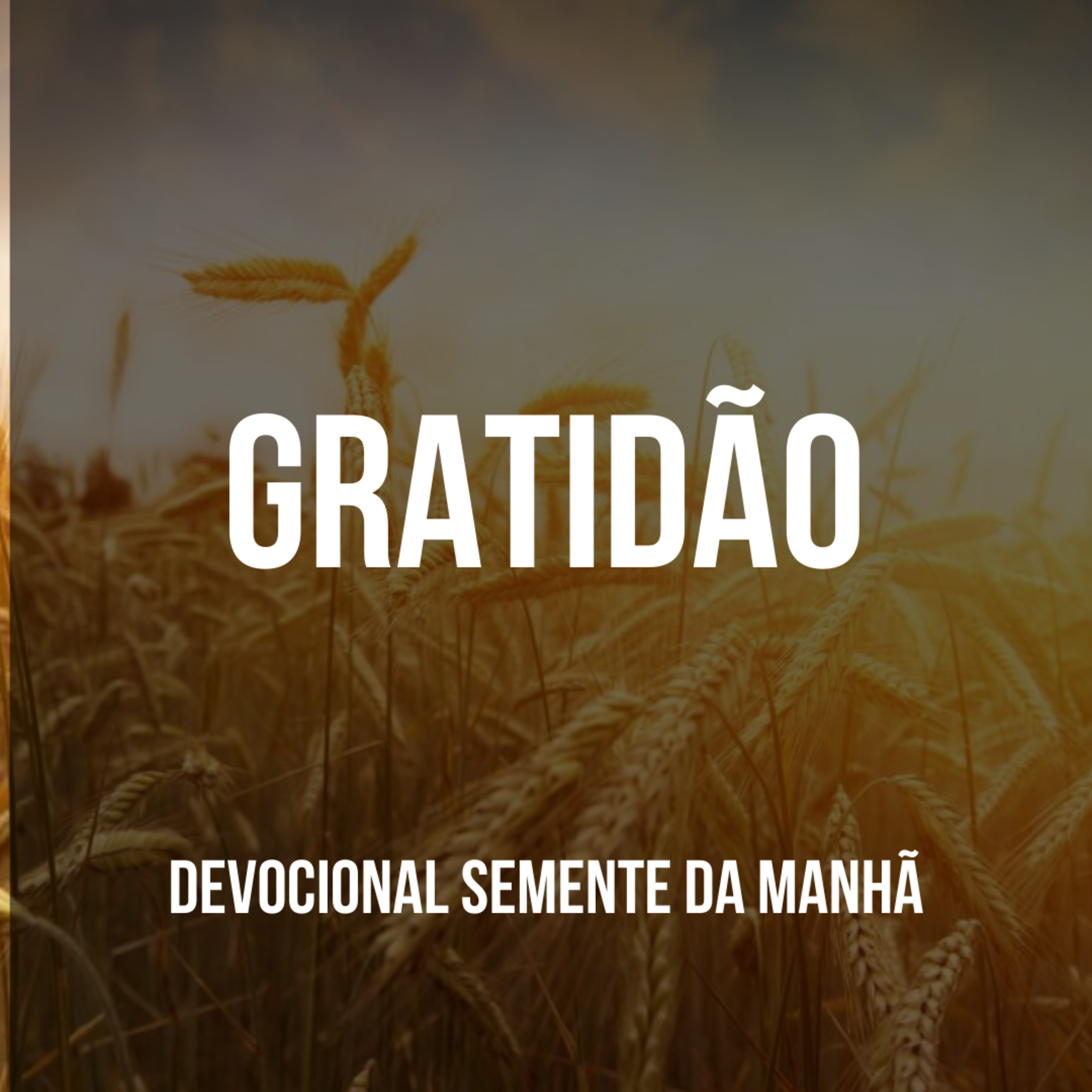Pr Fernando Mello - Devocionais