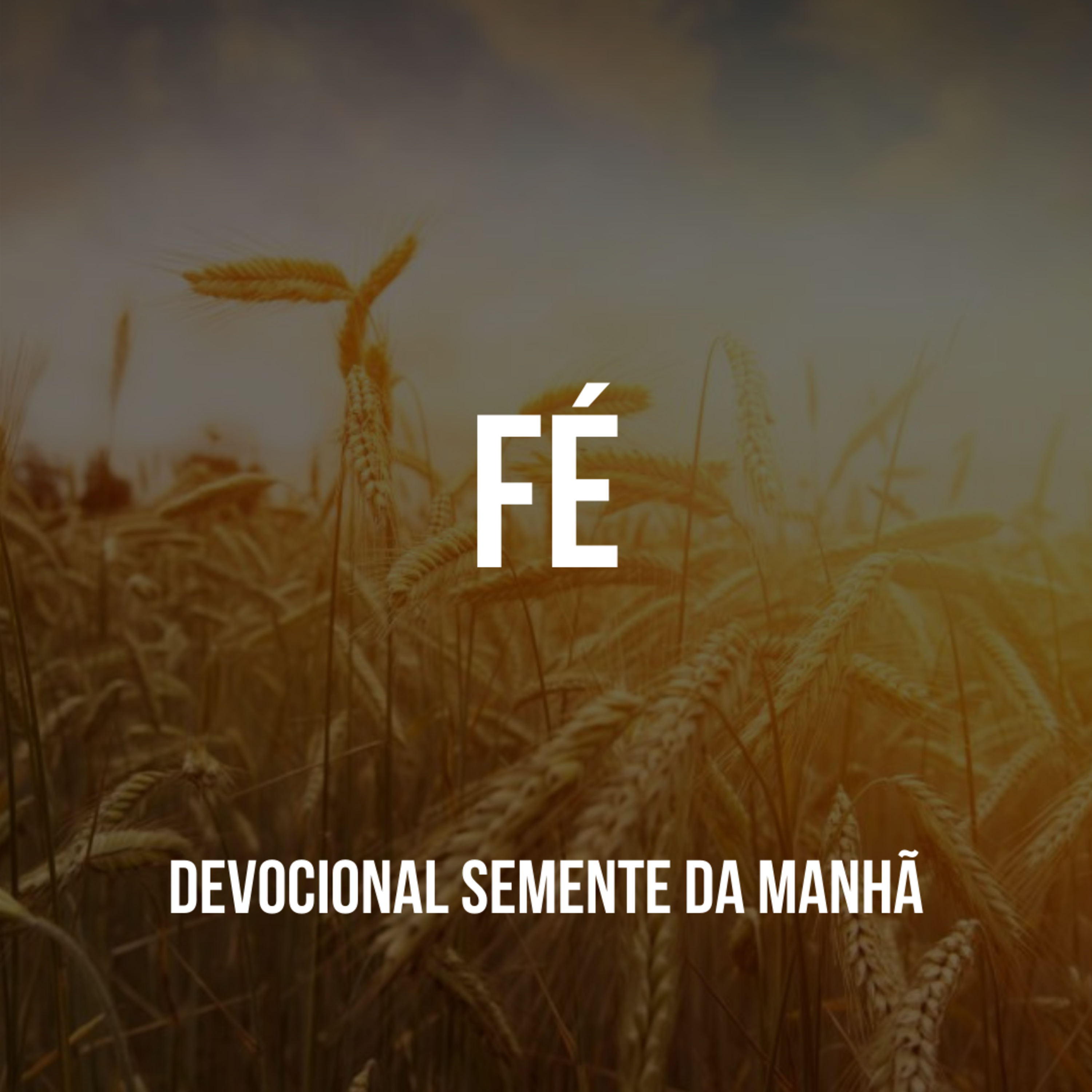 Pr Fernando Mello - Devocionais